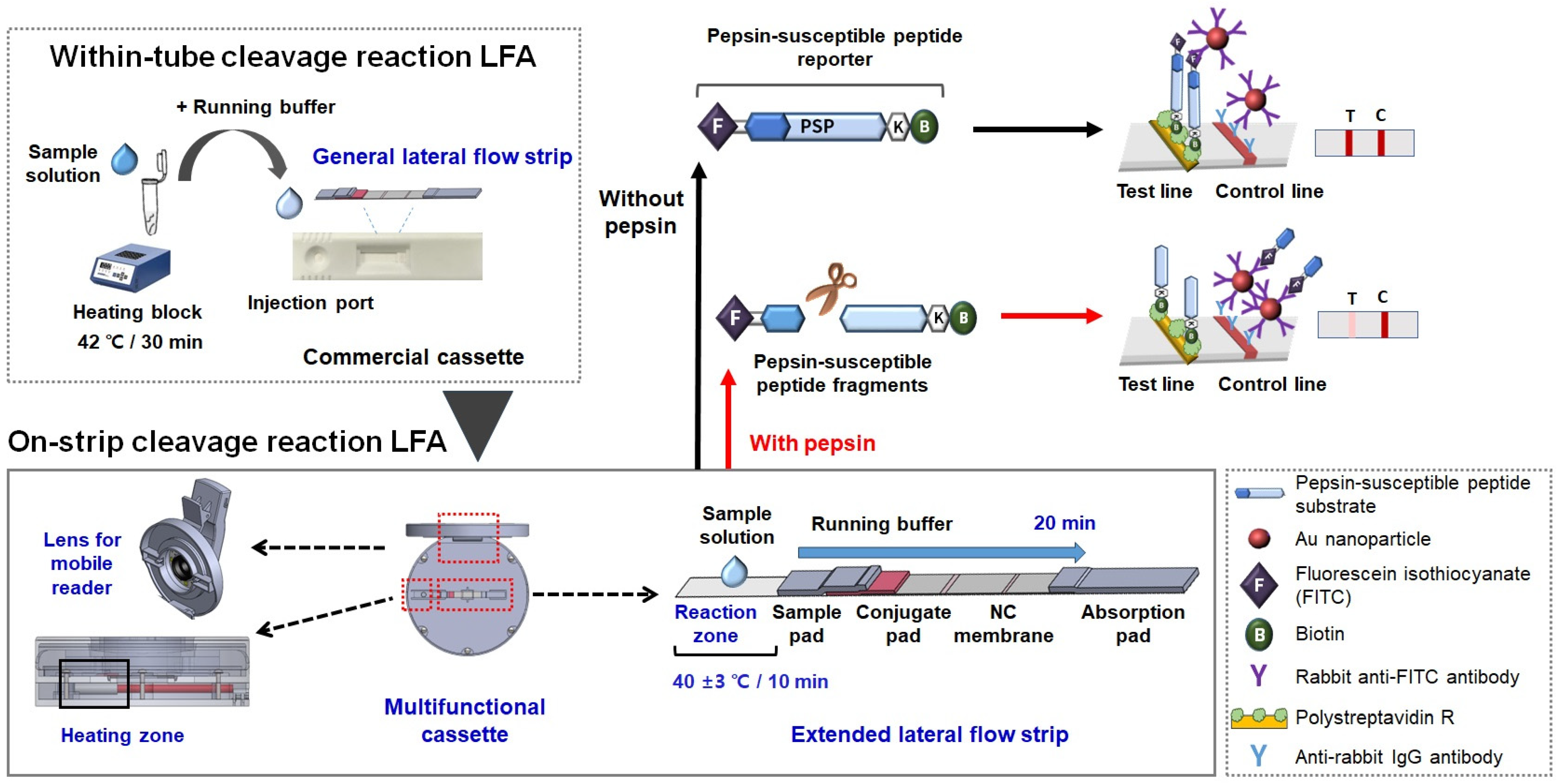 Chemosensors 12 00241 g001