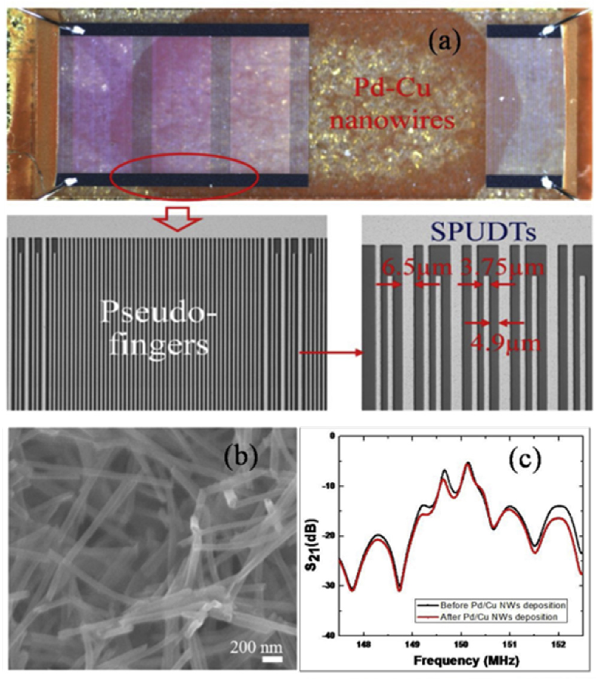 Chemosensors 12 00255 g004