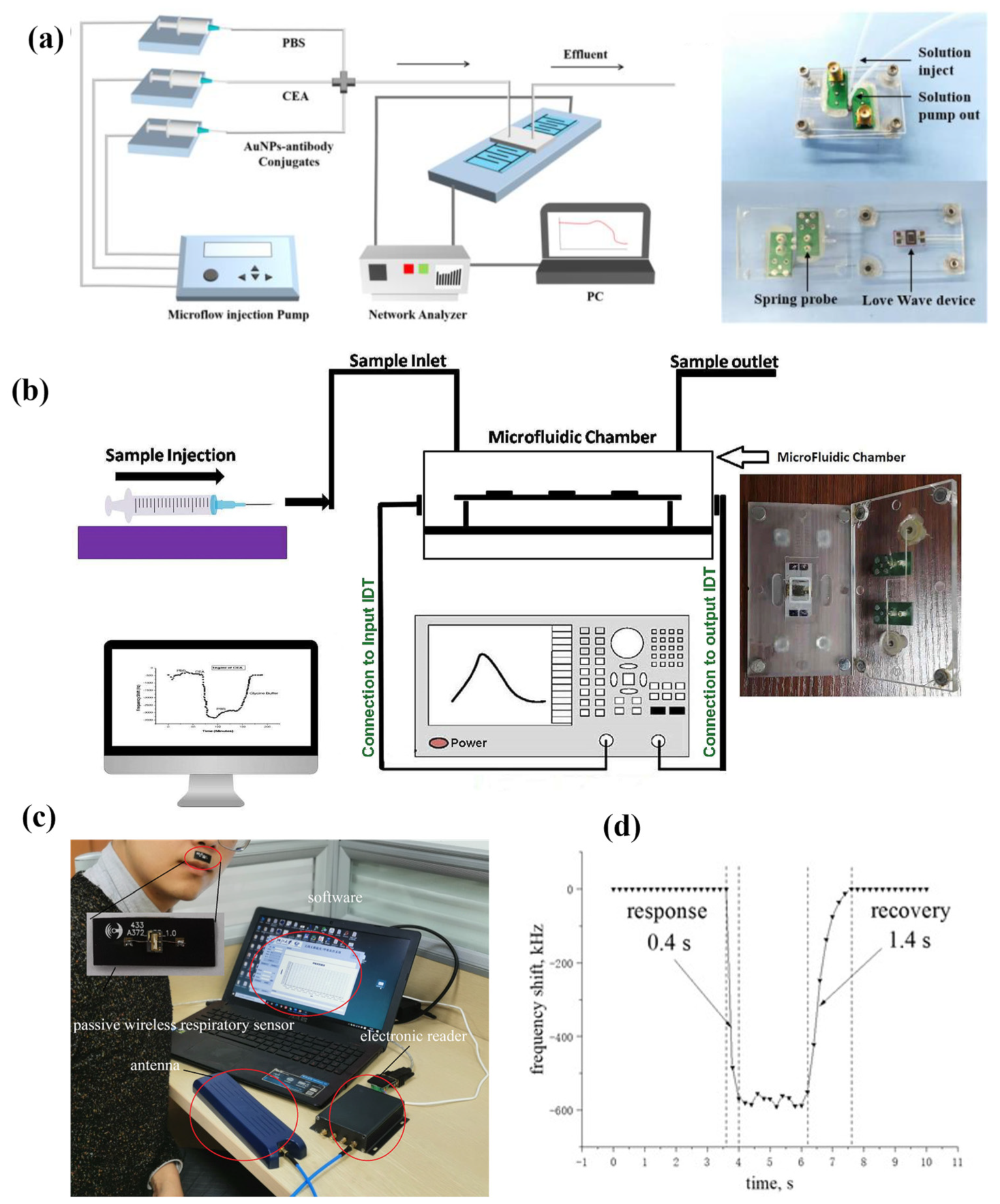 Chemosensors 12 00255 g011
