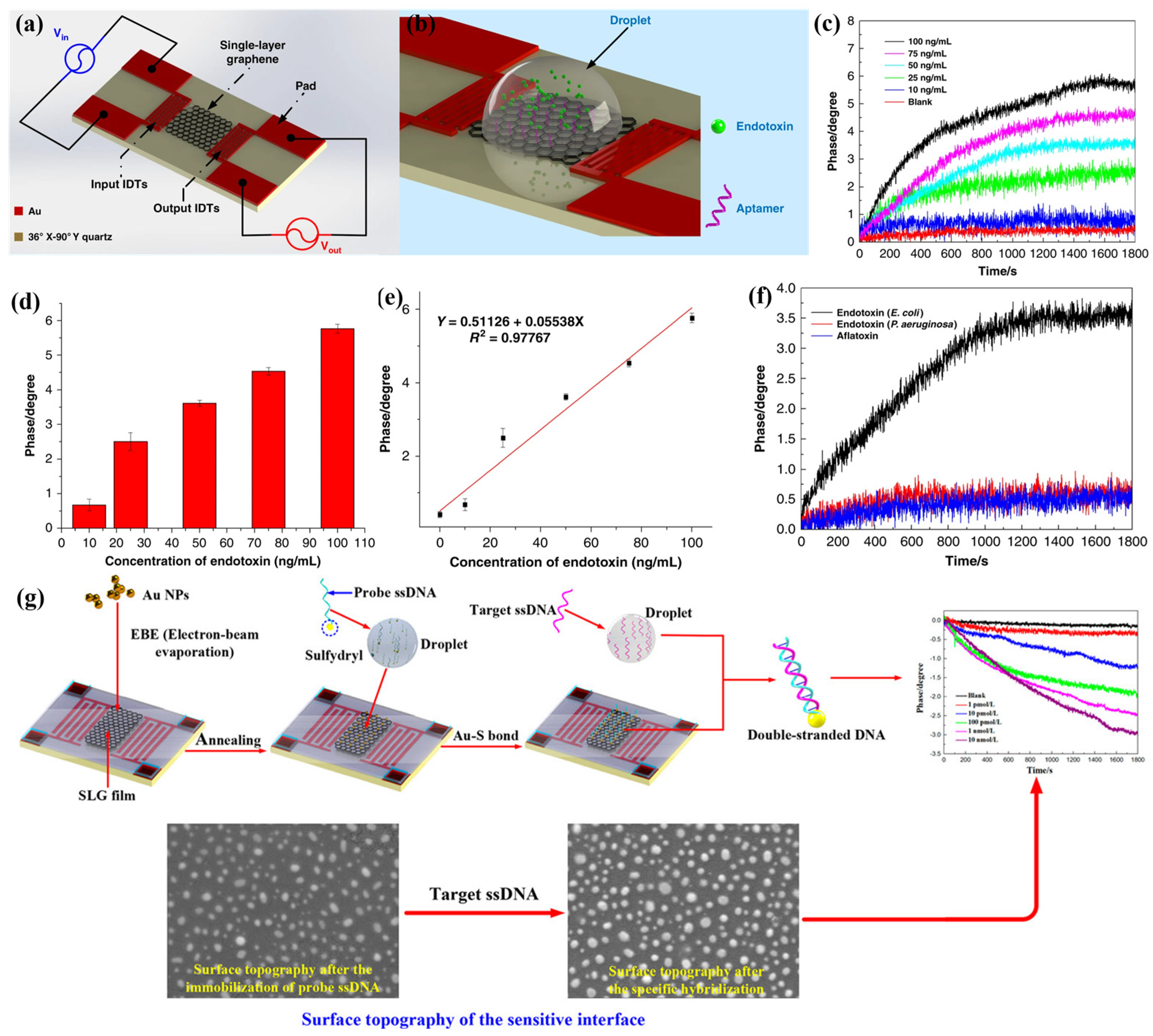 Chemosensors 12 00255 g012