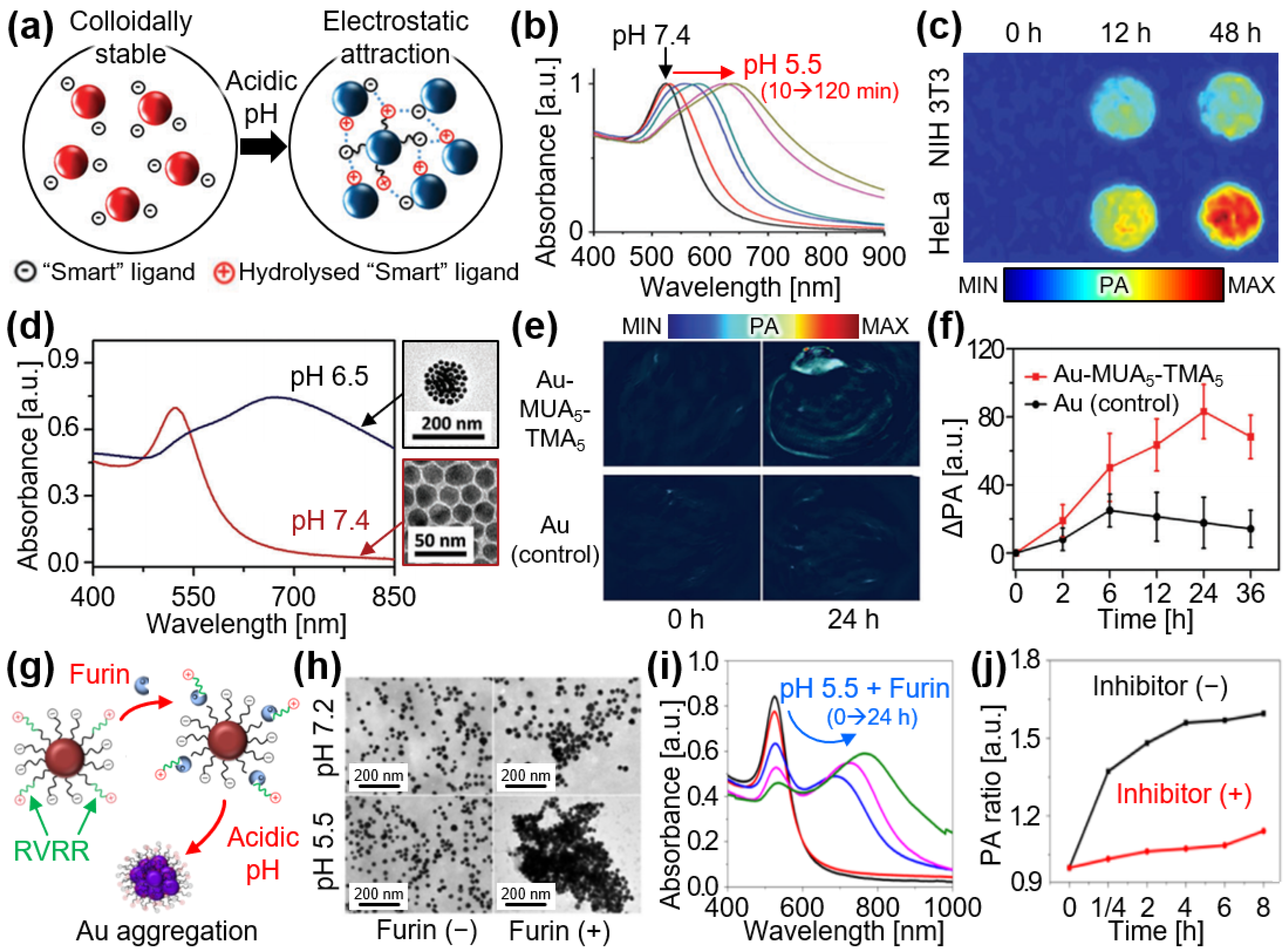 Chemosensors 12 00257 g003