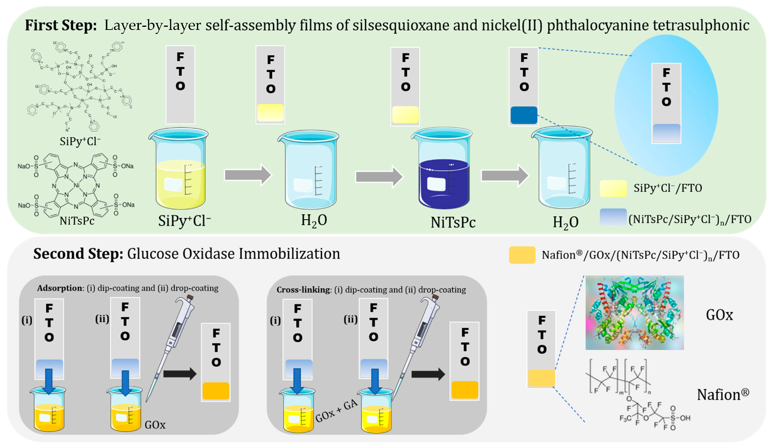 Chemosensors 12 00259 g003