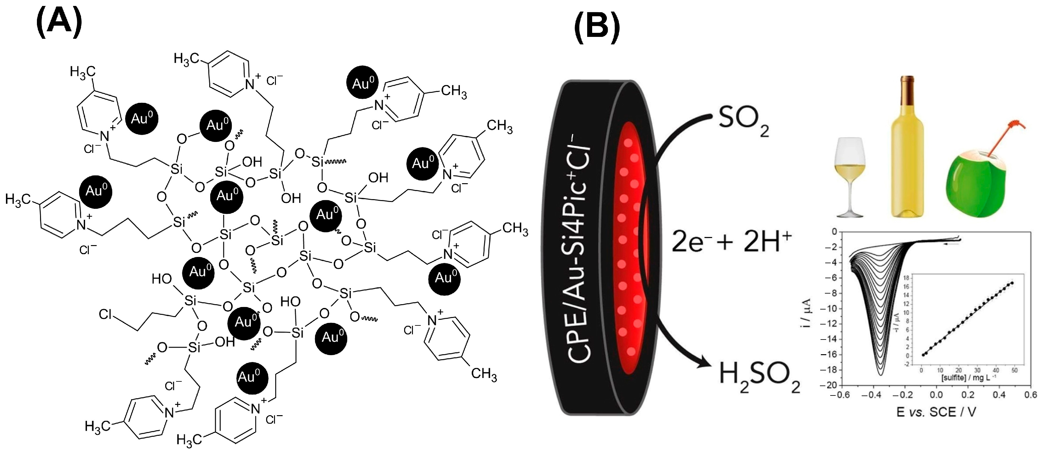 Chemosensors 12 00259 g005
