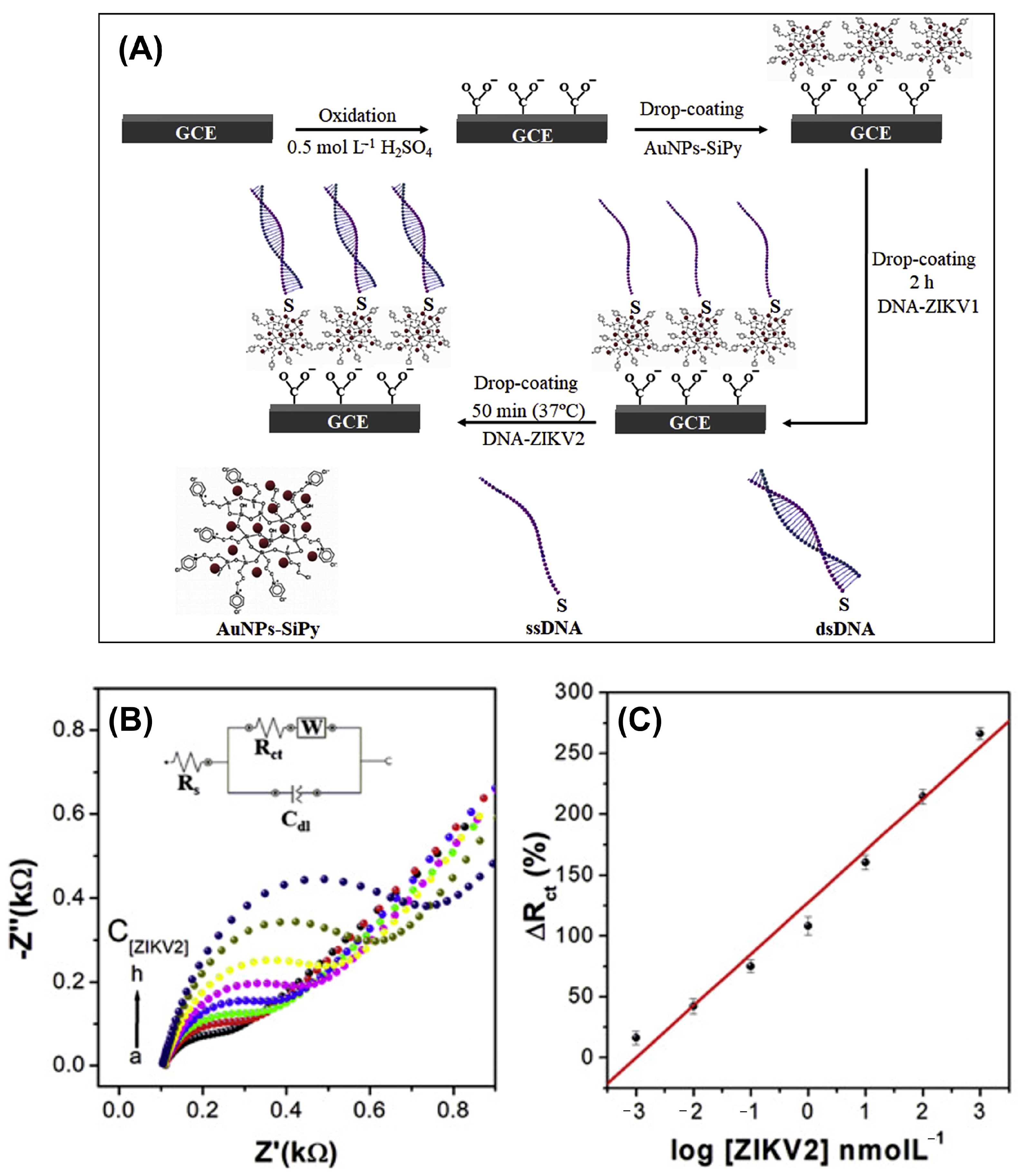 Chemosensors 12 00259 g007