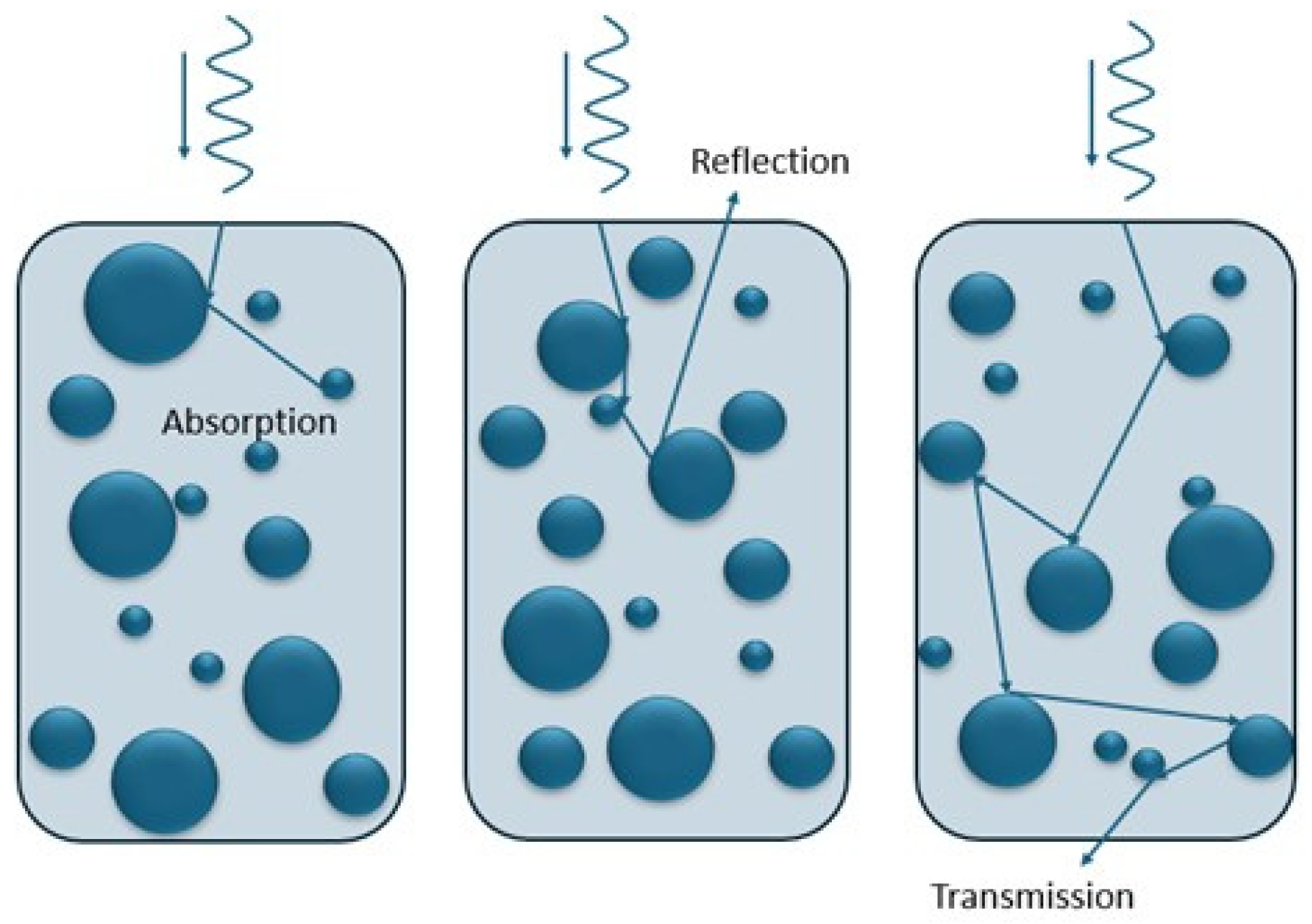 Chemosensors 12 00263 g002