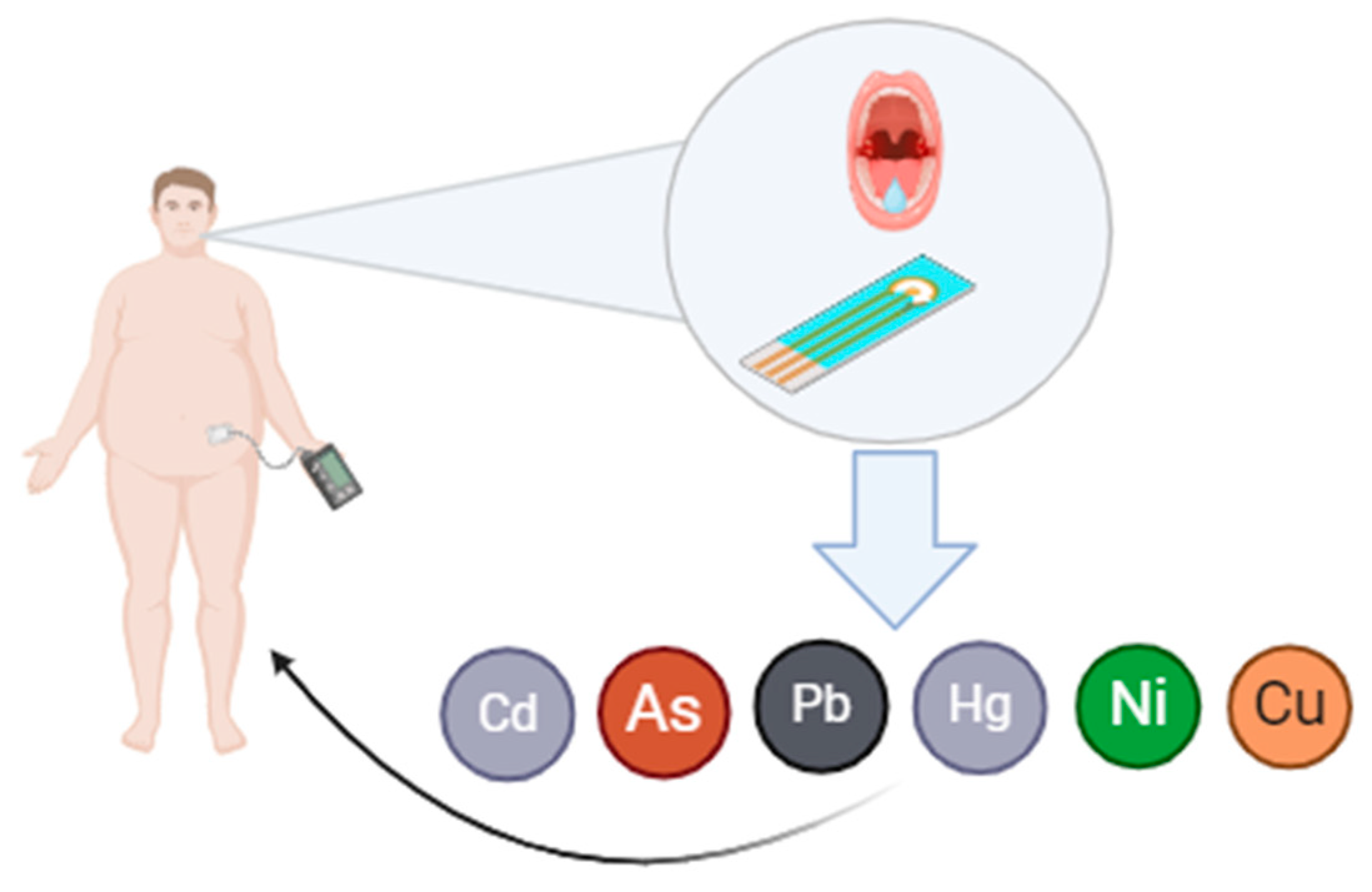 Chemosensors 12 00269 g001