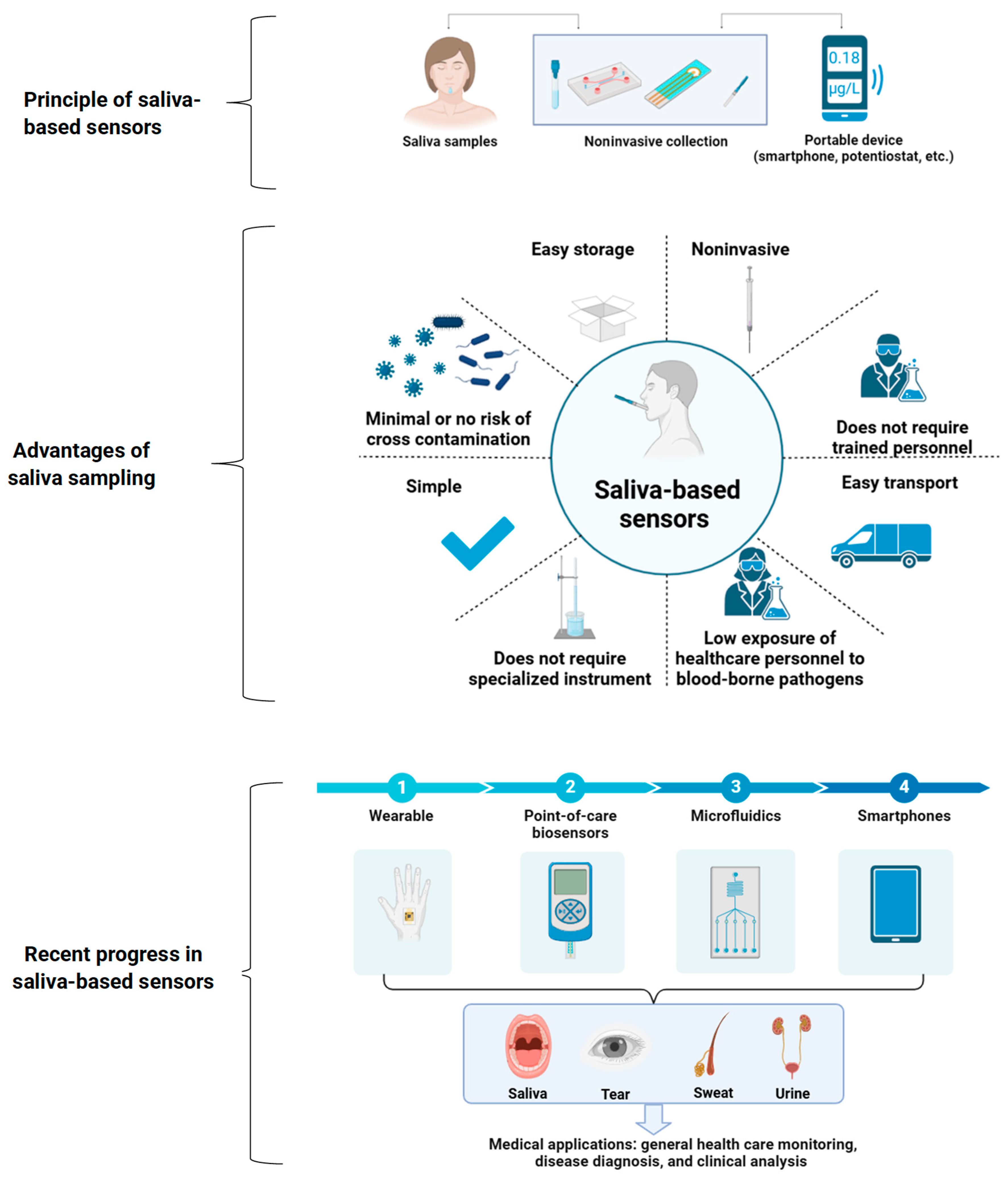 Chemosensors 12 00269 g002
