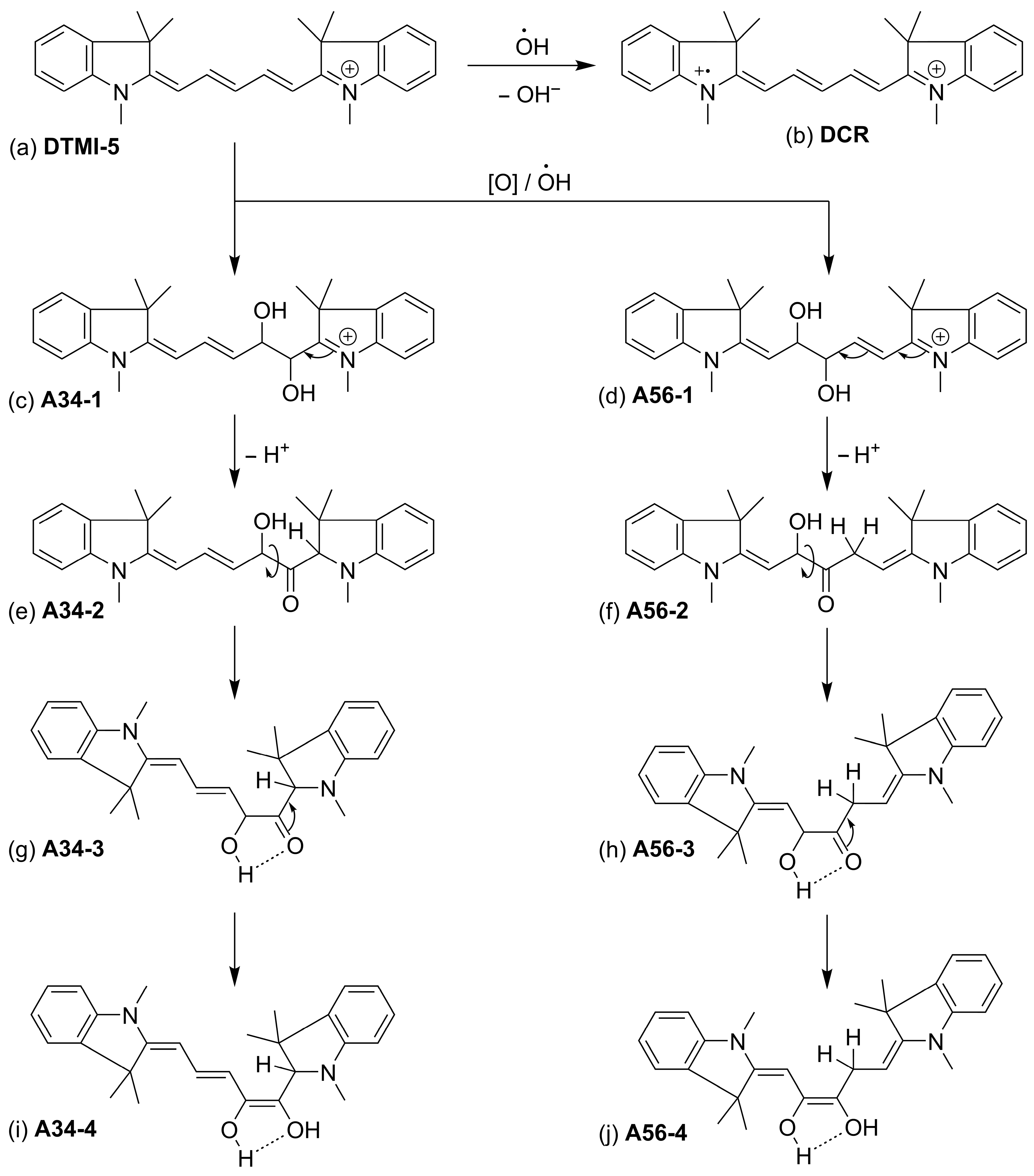 Chemosensors 12 00270 g003