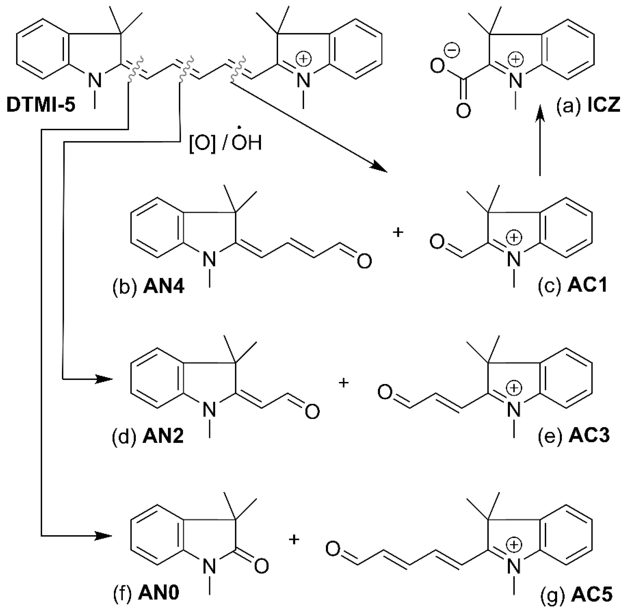 Chemosensors 12 00270 g004