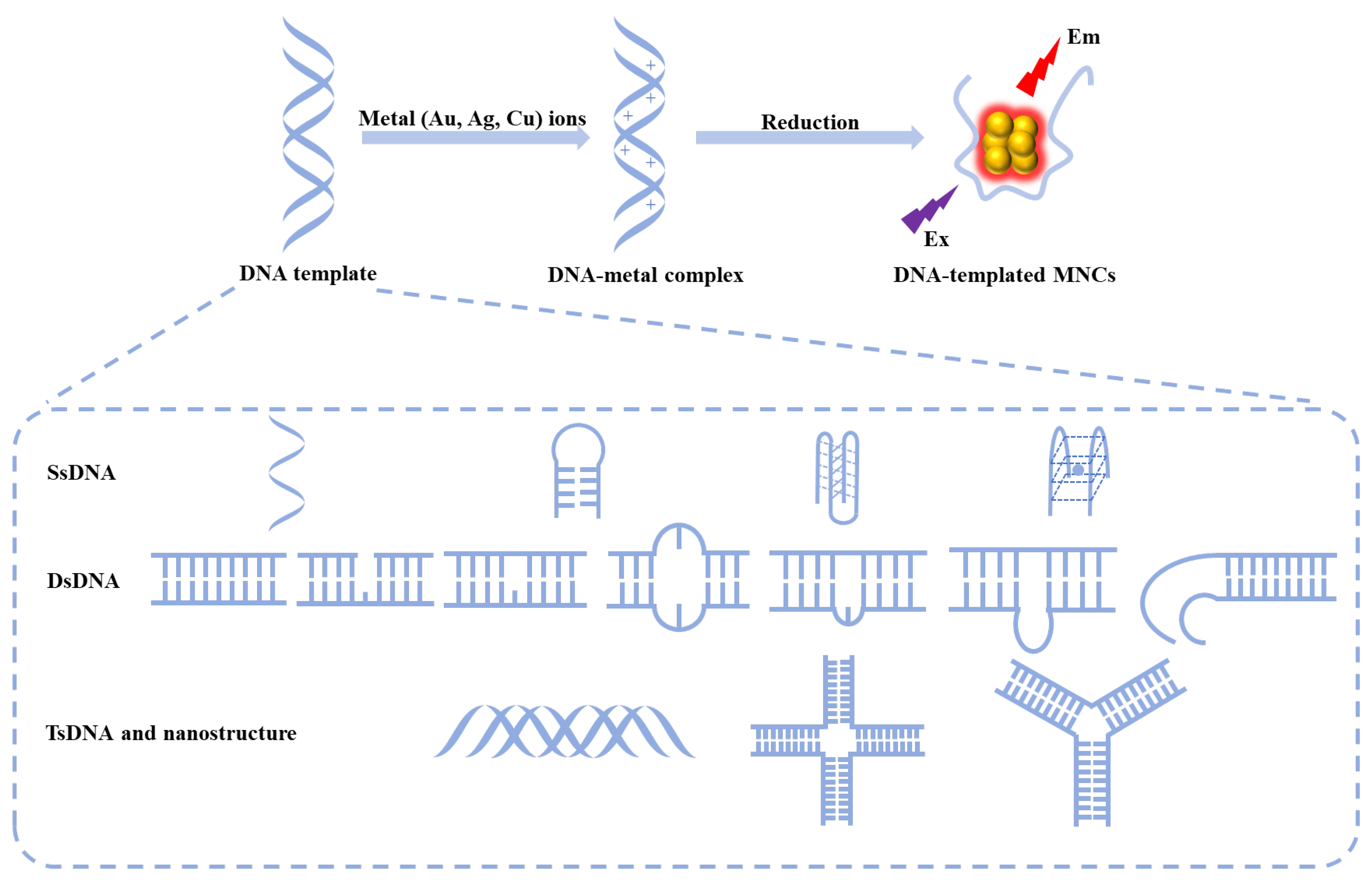 Chemosensors 12 00271 g001