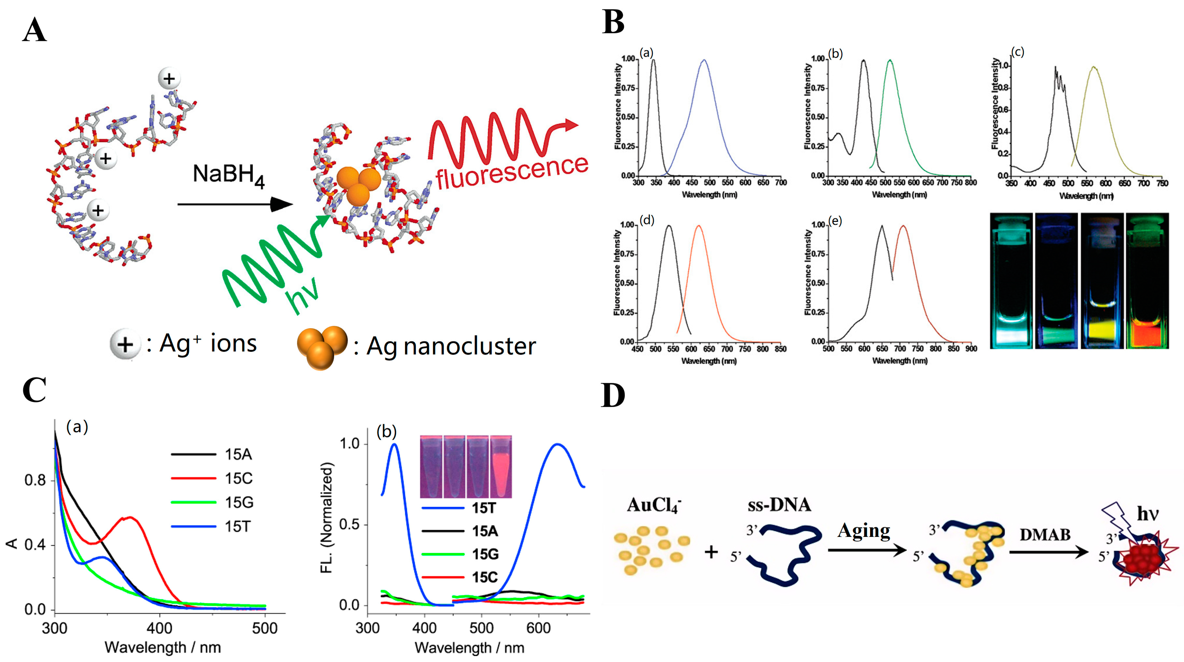 Chemosensors 12 00271 g002