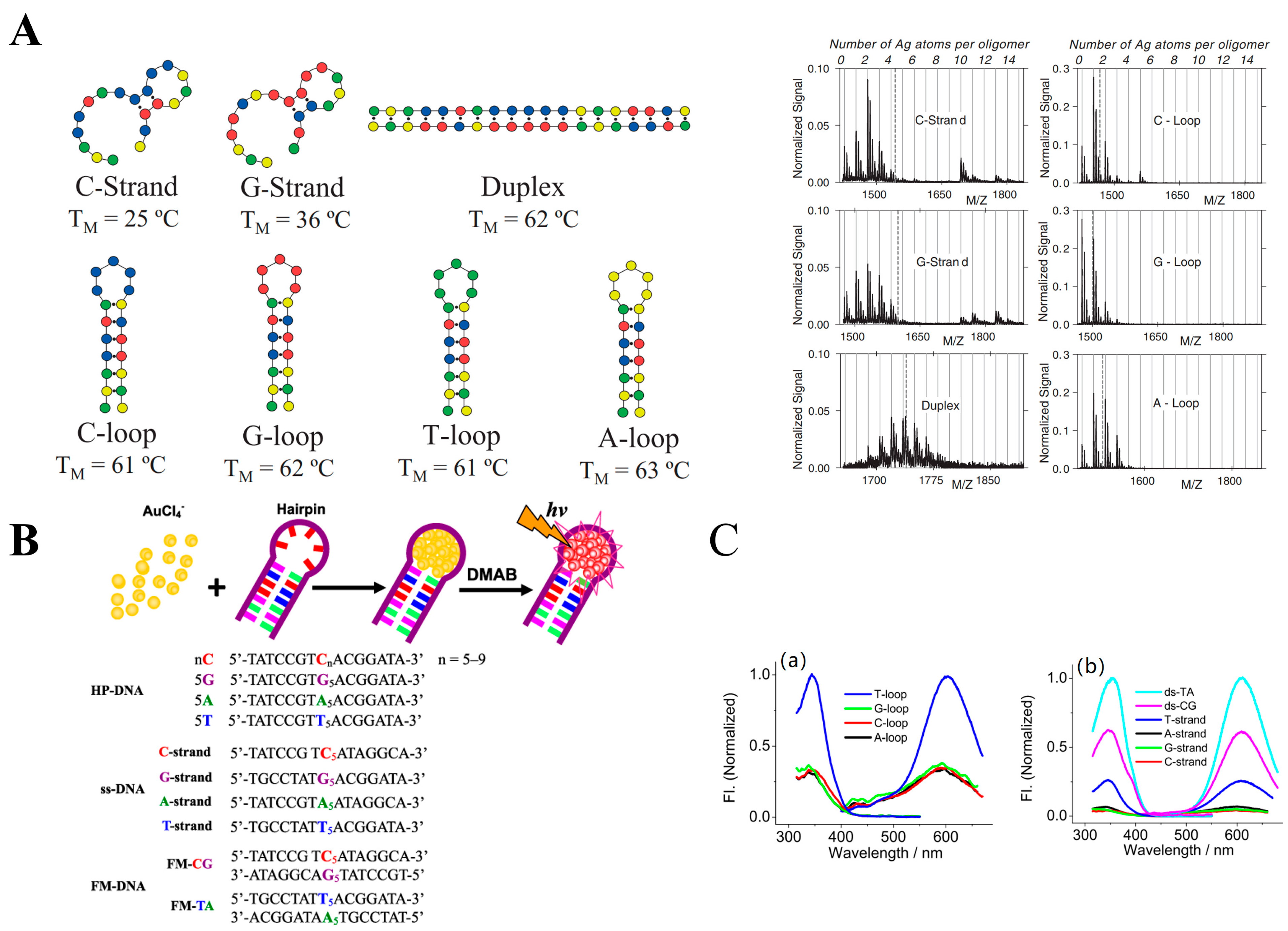 Chemosensors 12 00271 g004