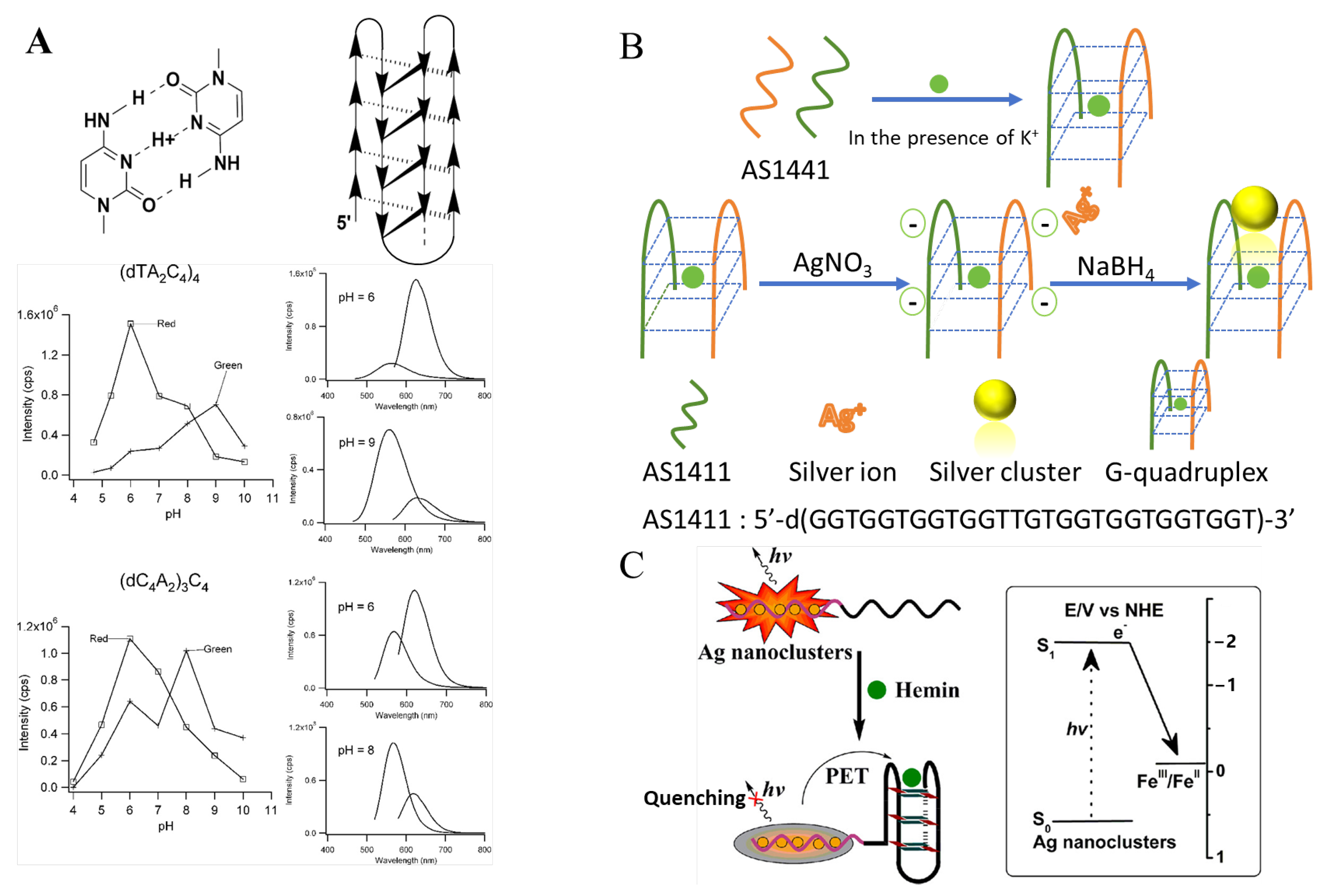 Chemosensors 12 00271 g005