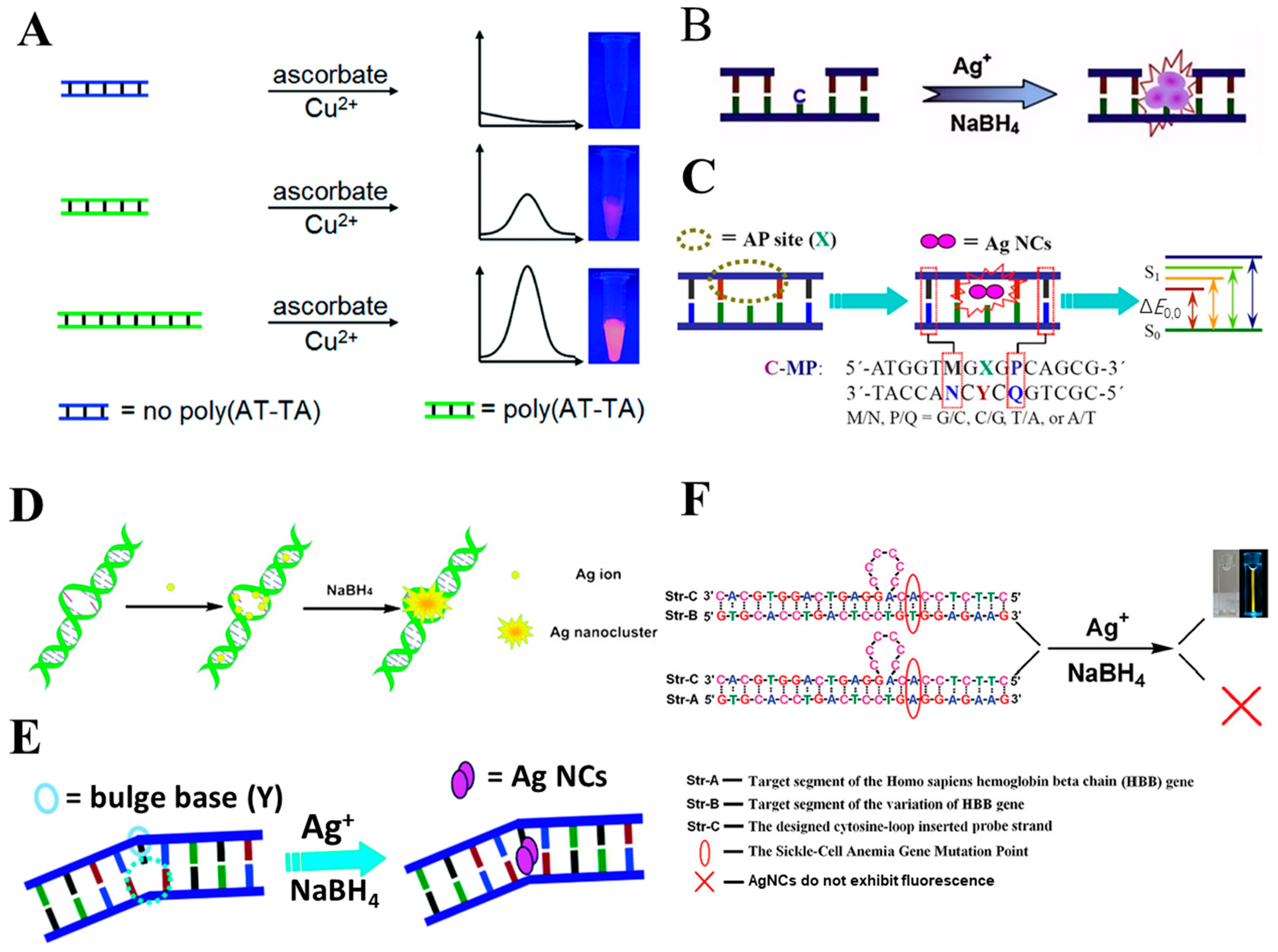 Chemosensors 12 00271 g006