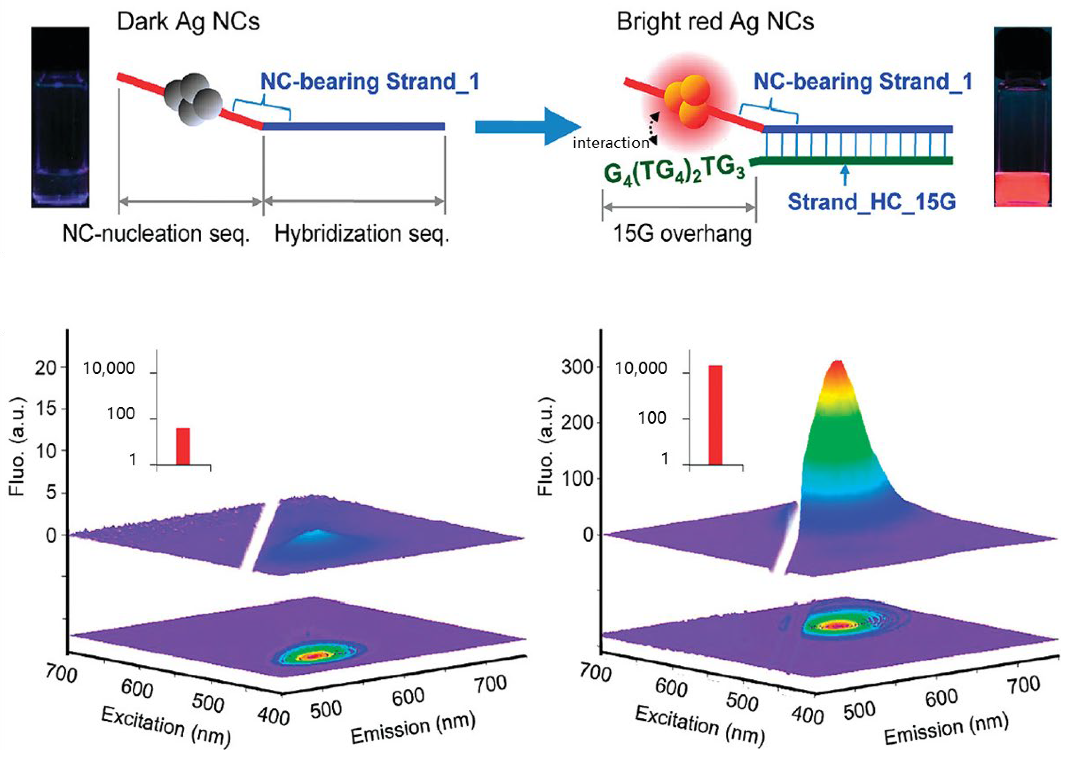 Chemosensors 12 00271 g007