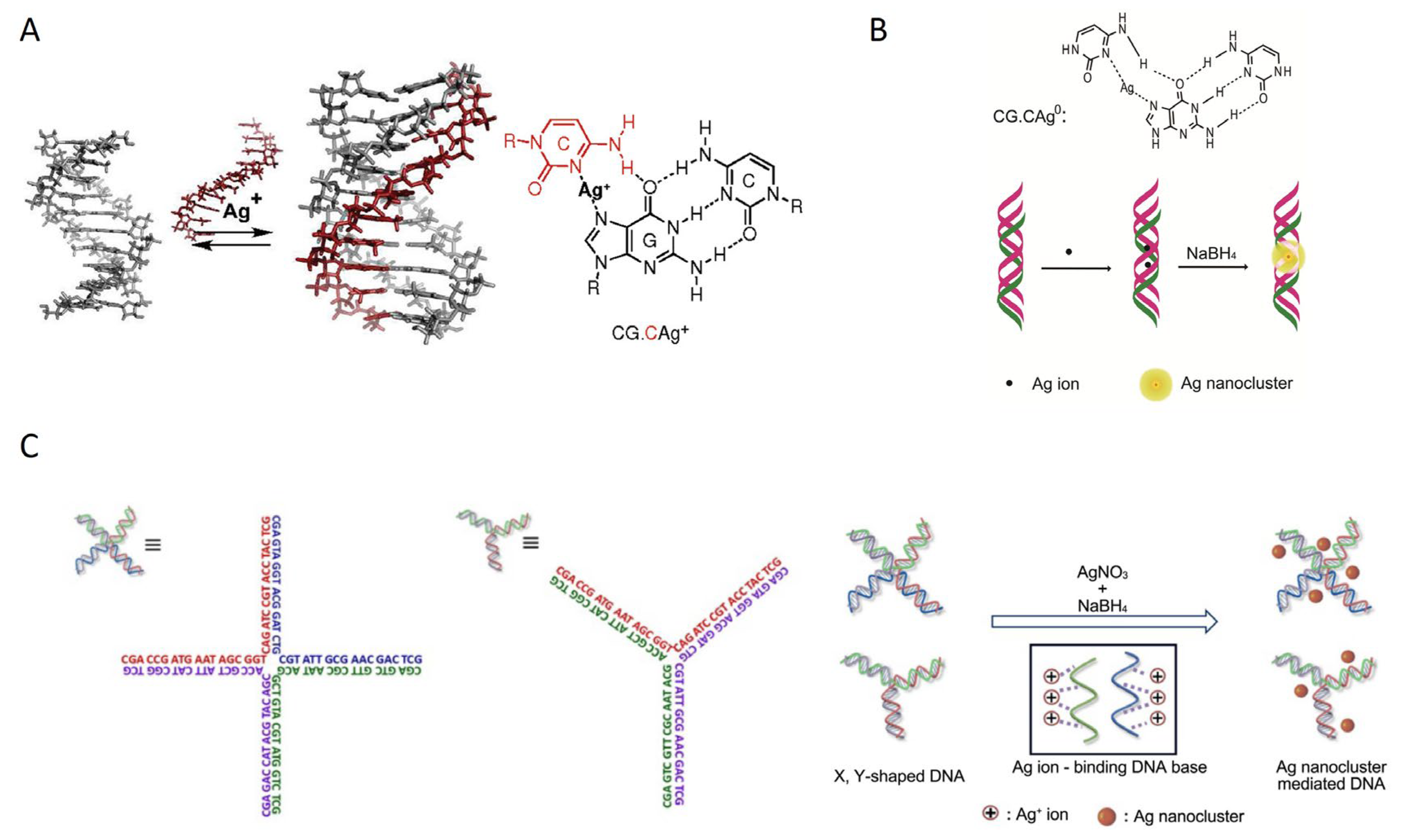 Chemosensors 12 00271 g008