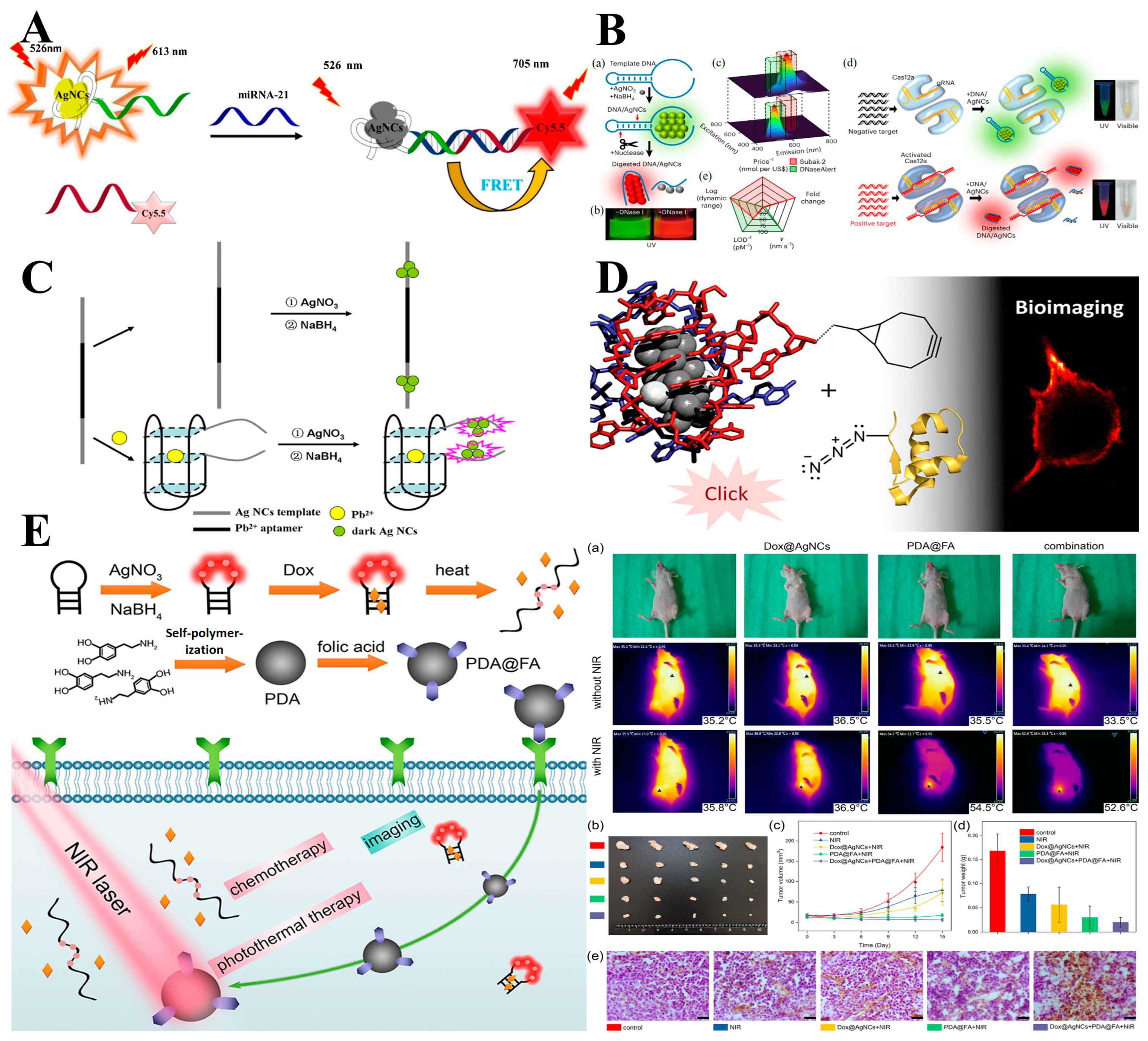 Chemosensors 12 00271 g009