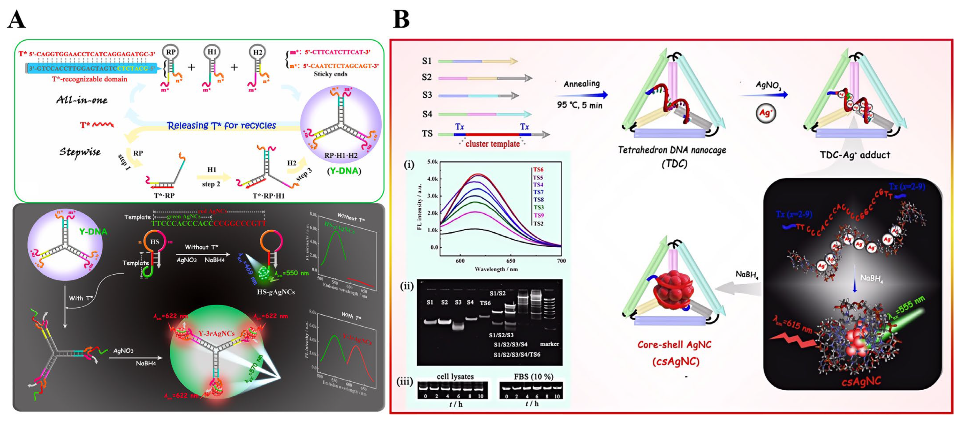 Chemosensors 12 00271 g011