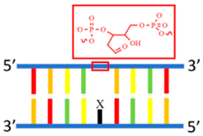 Chemosensors 12 00271 i007