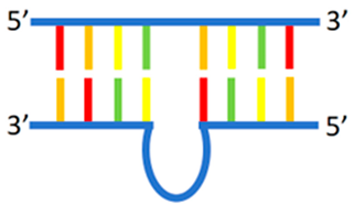 Chemosensors 12 00271 i010
