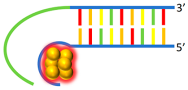 Chemosensors 12 00271 i011