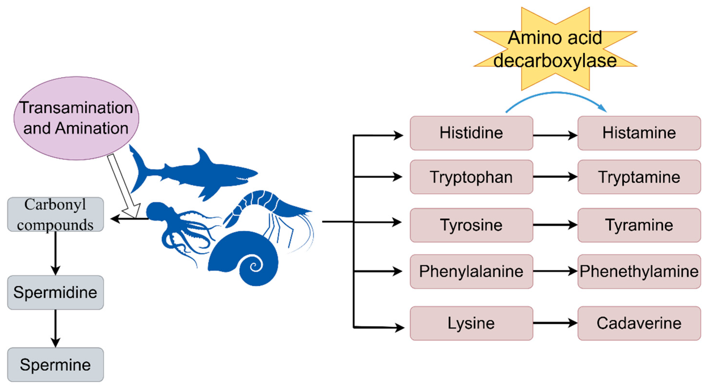 Chemosensors 12 00274 g002