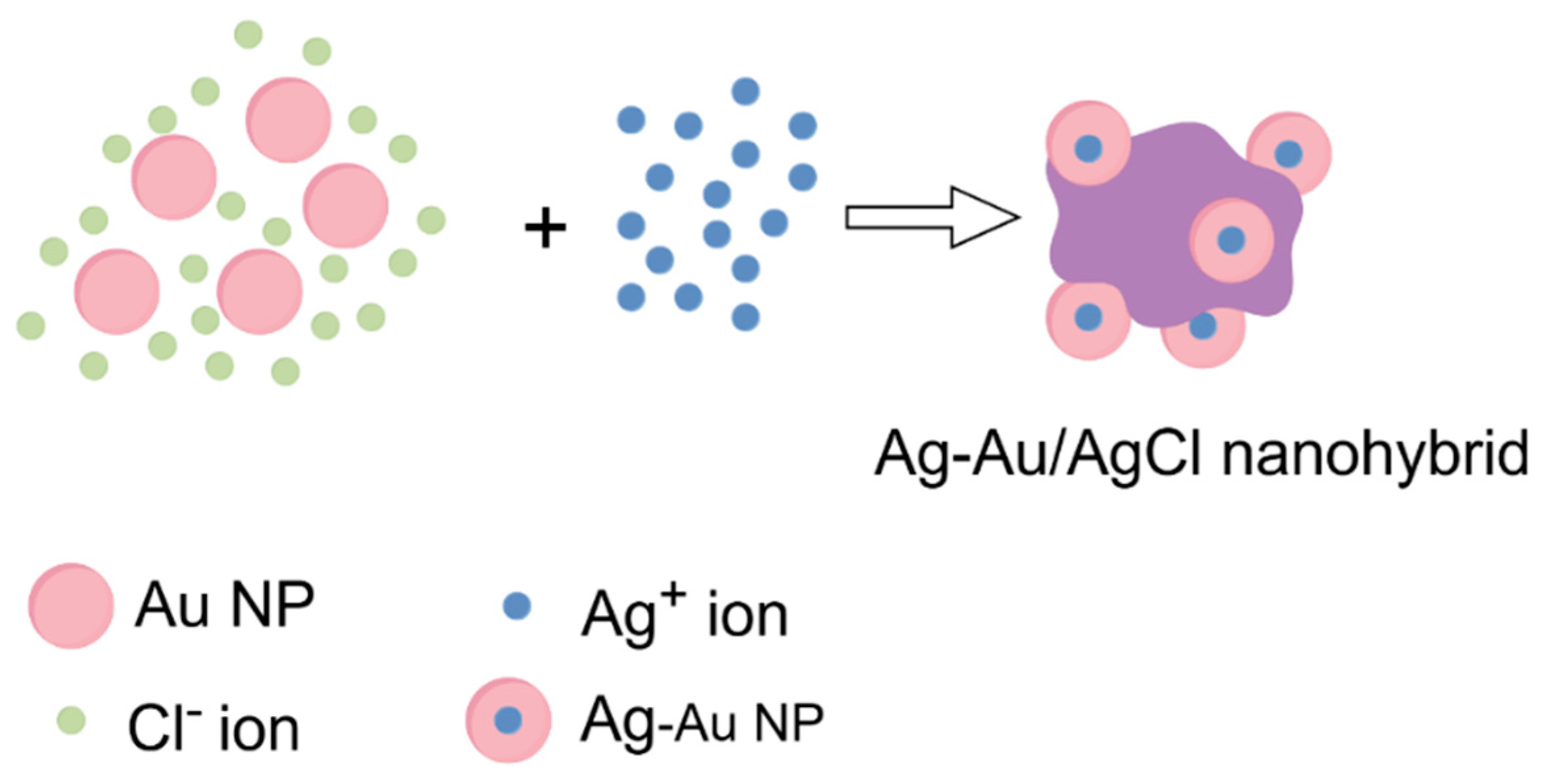 Chemosensors 12 00274 g008