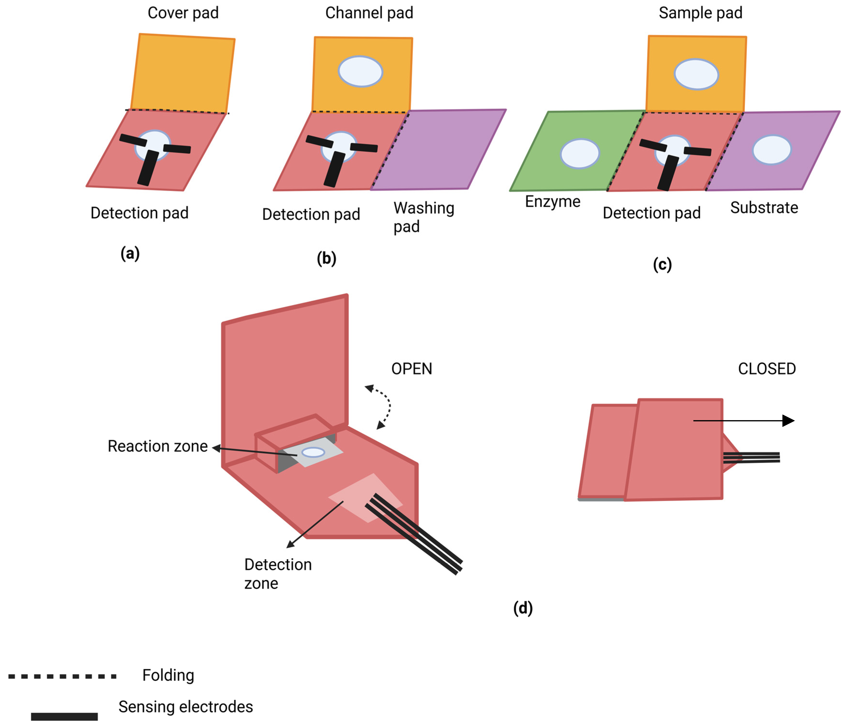Chemosensors 12 00276 g001
