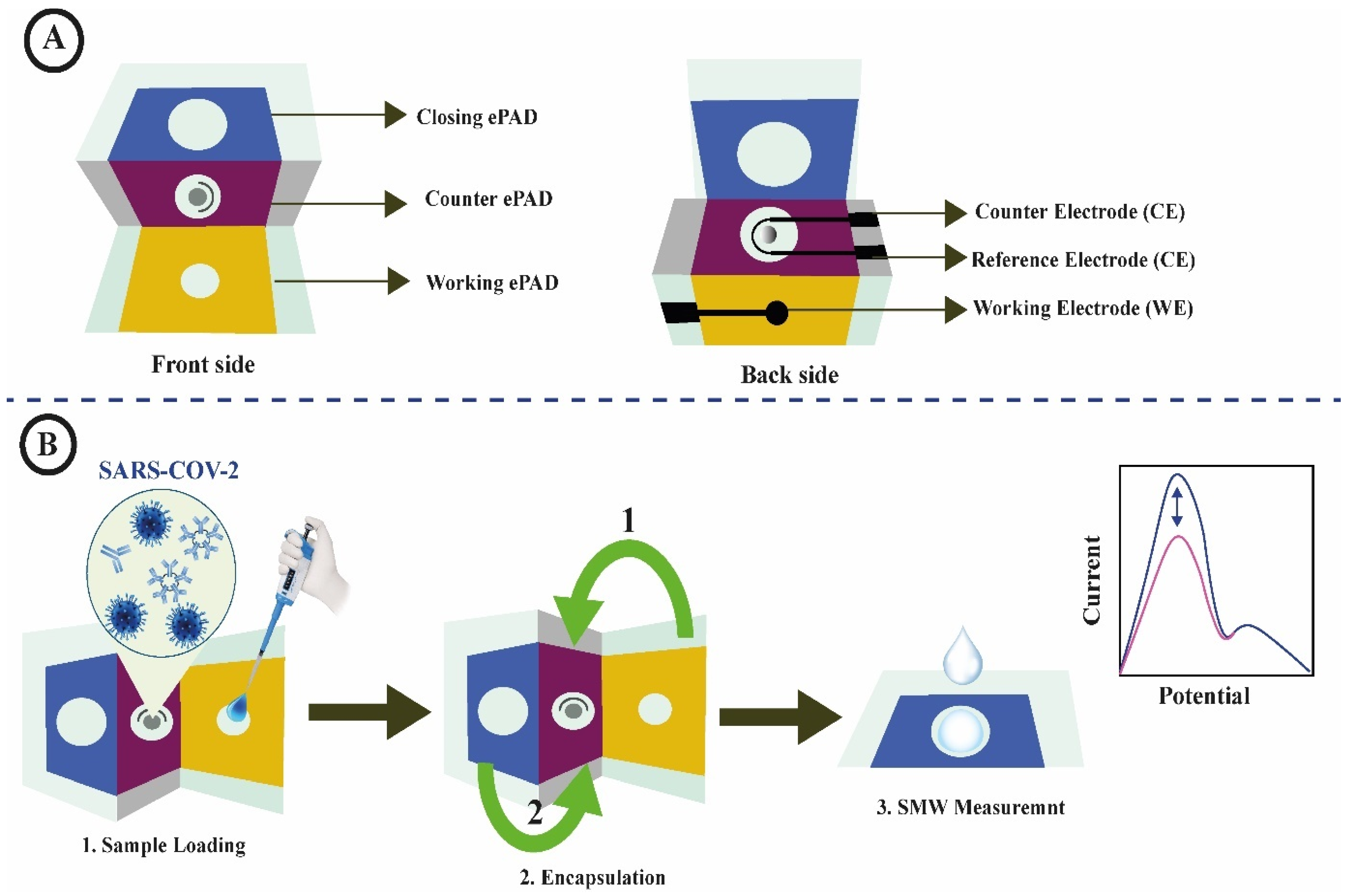 Chemosensors 12 00276 g002