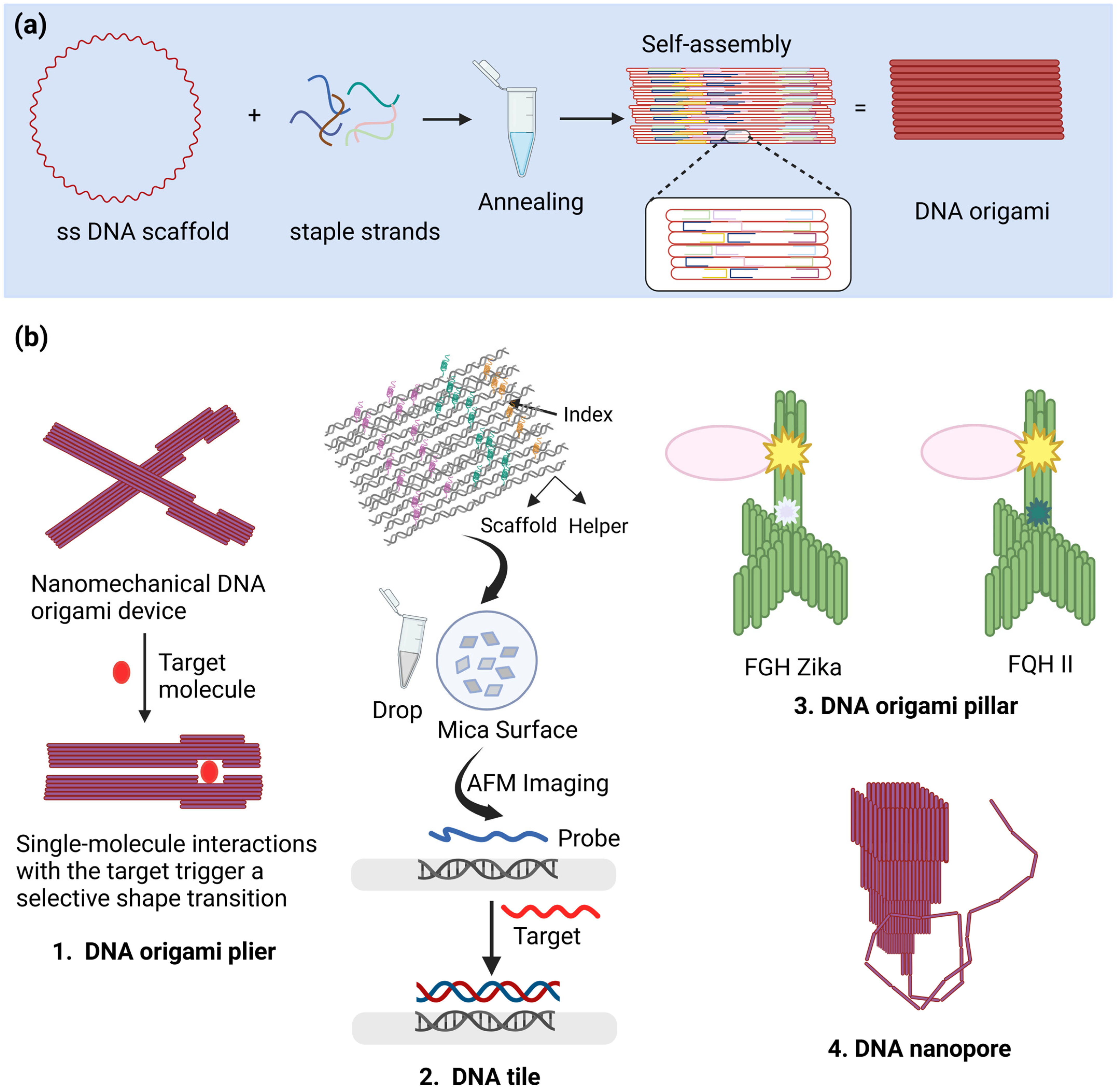 Chemosensors 12 00276 g003
