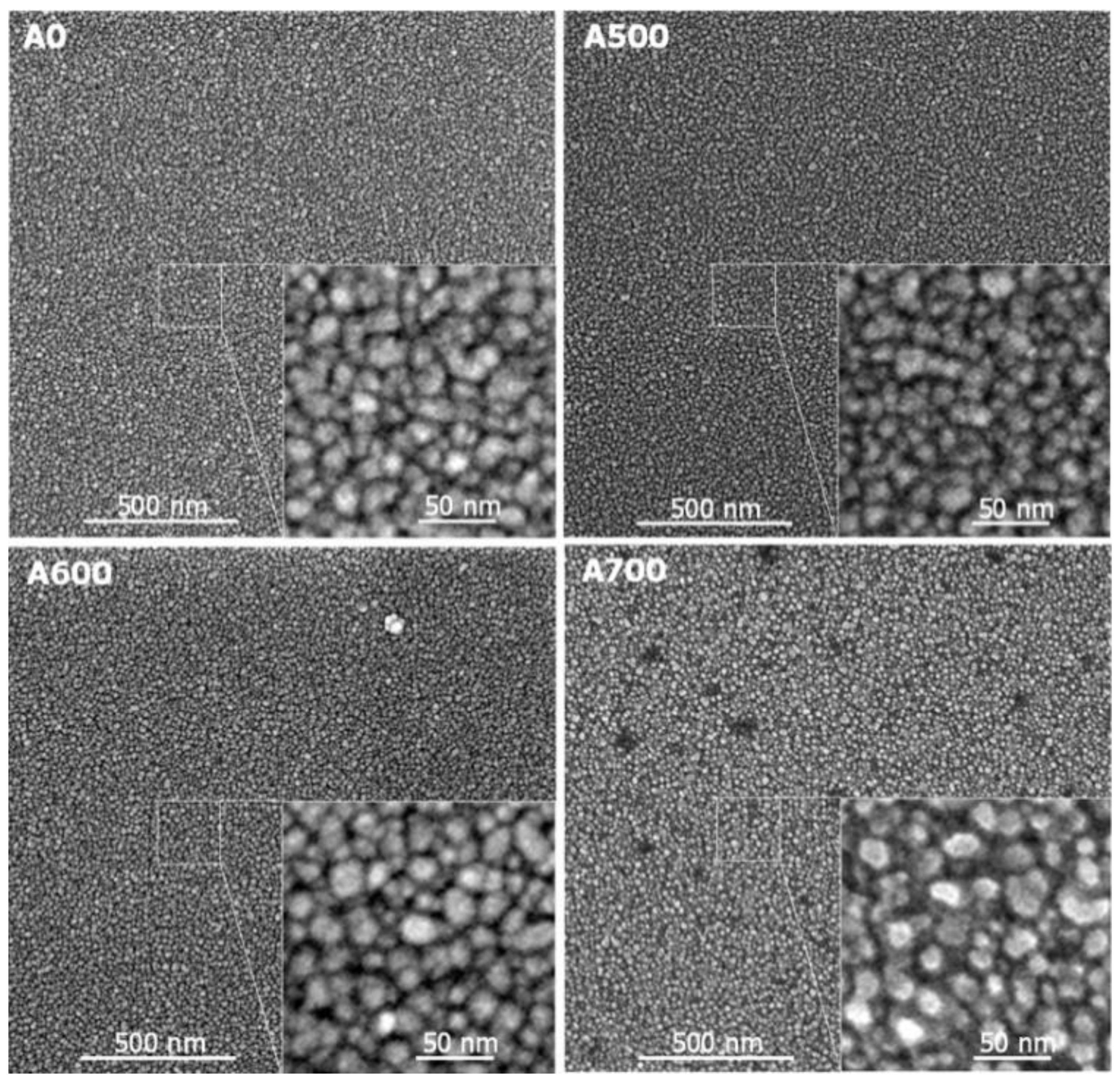 Chemosensors 13 00001 g004