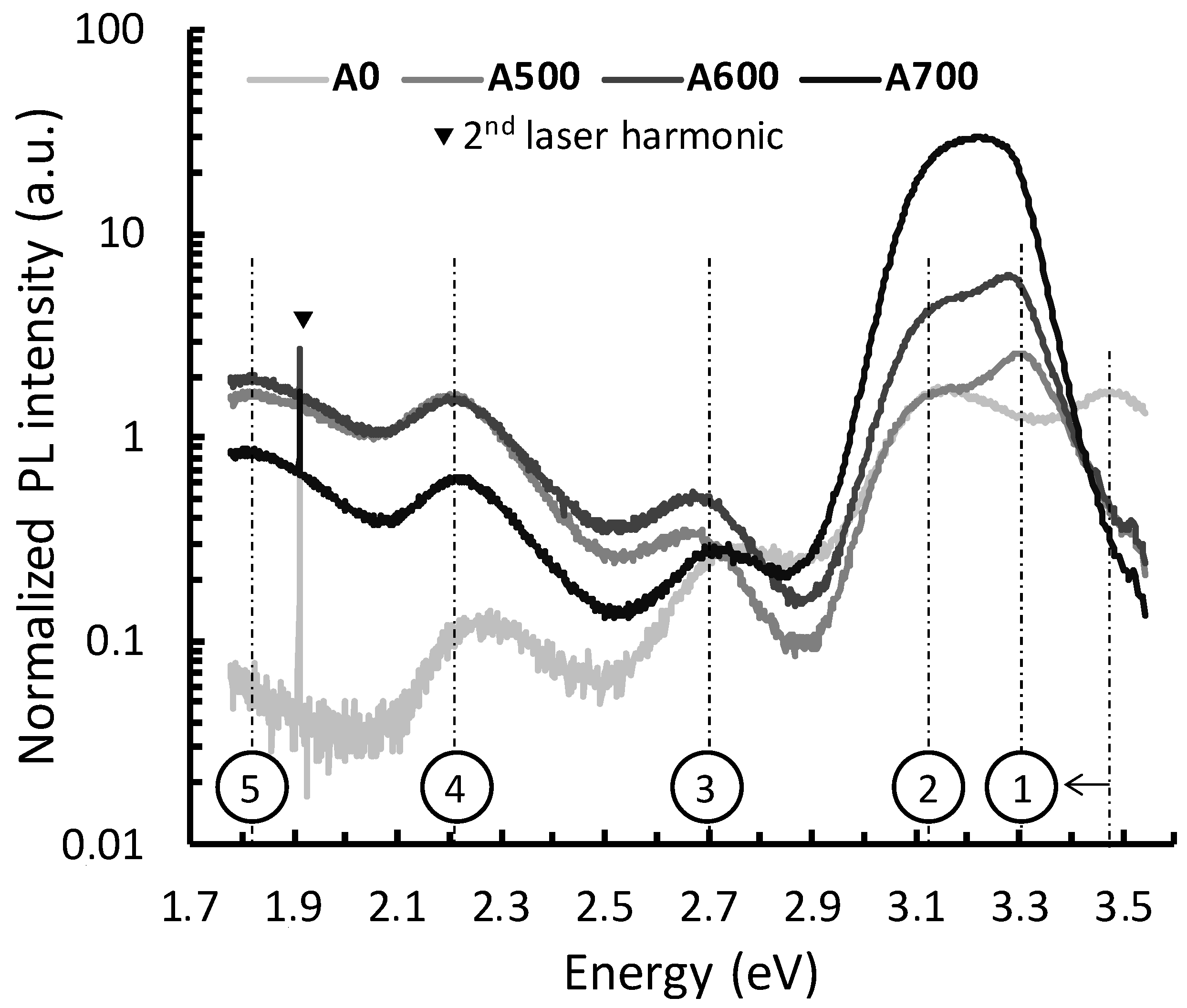 Chemosensors 13 00001 g007