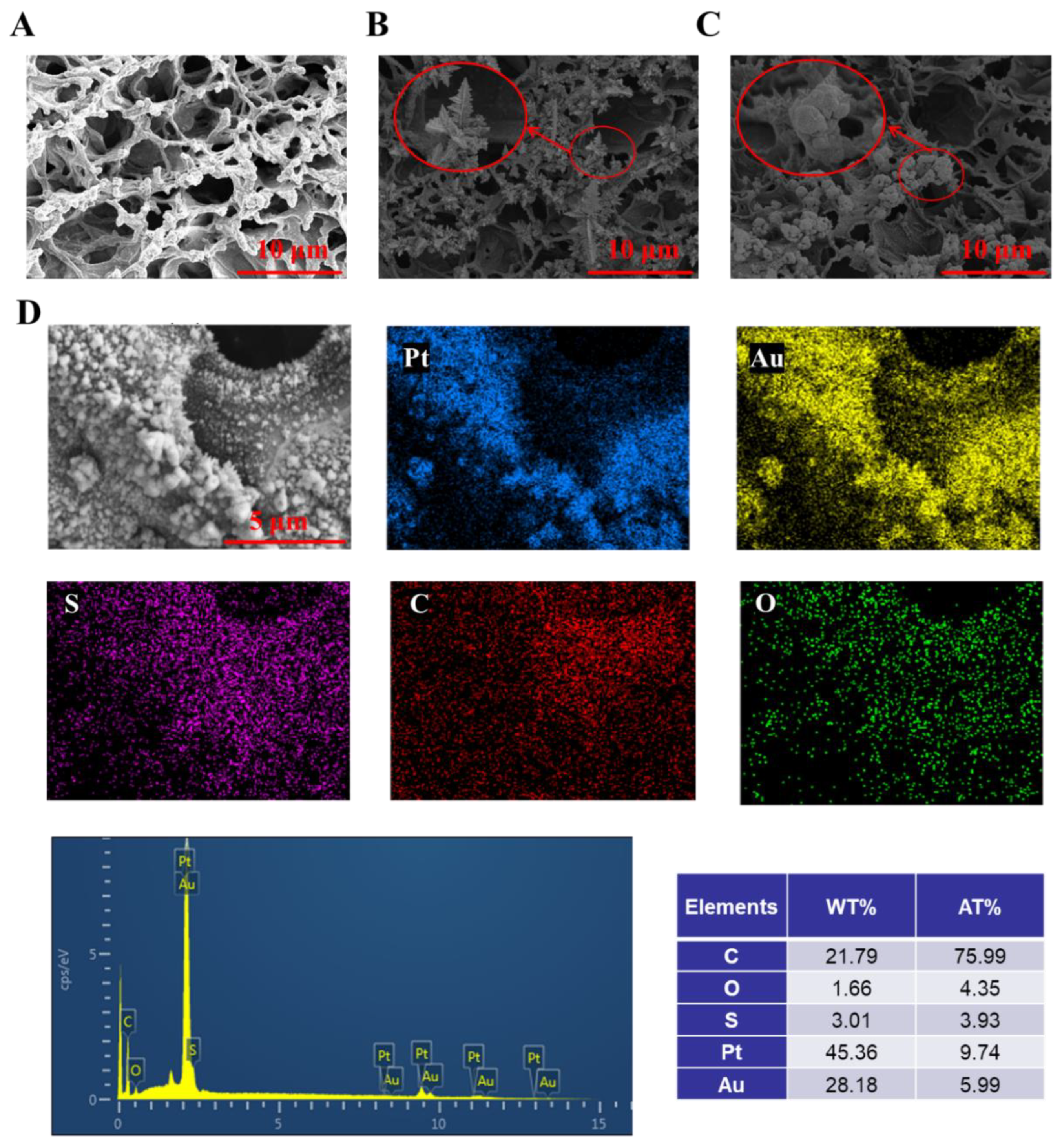 Chemosensors 13 00003 g003