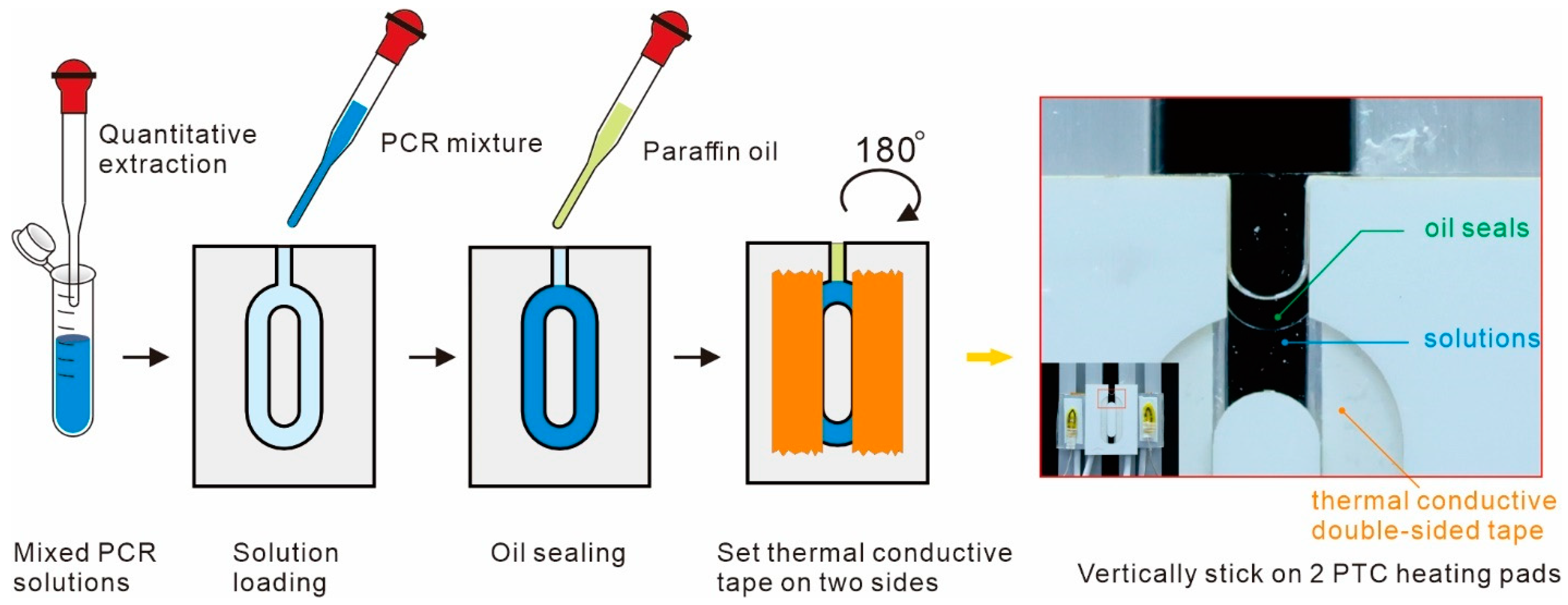 Chemosensors 13 00006 g006