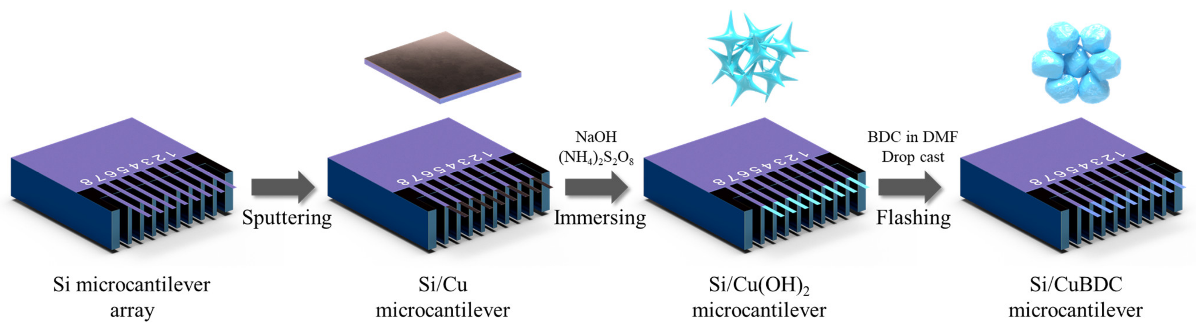 Chemosensors 13 00008 g001