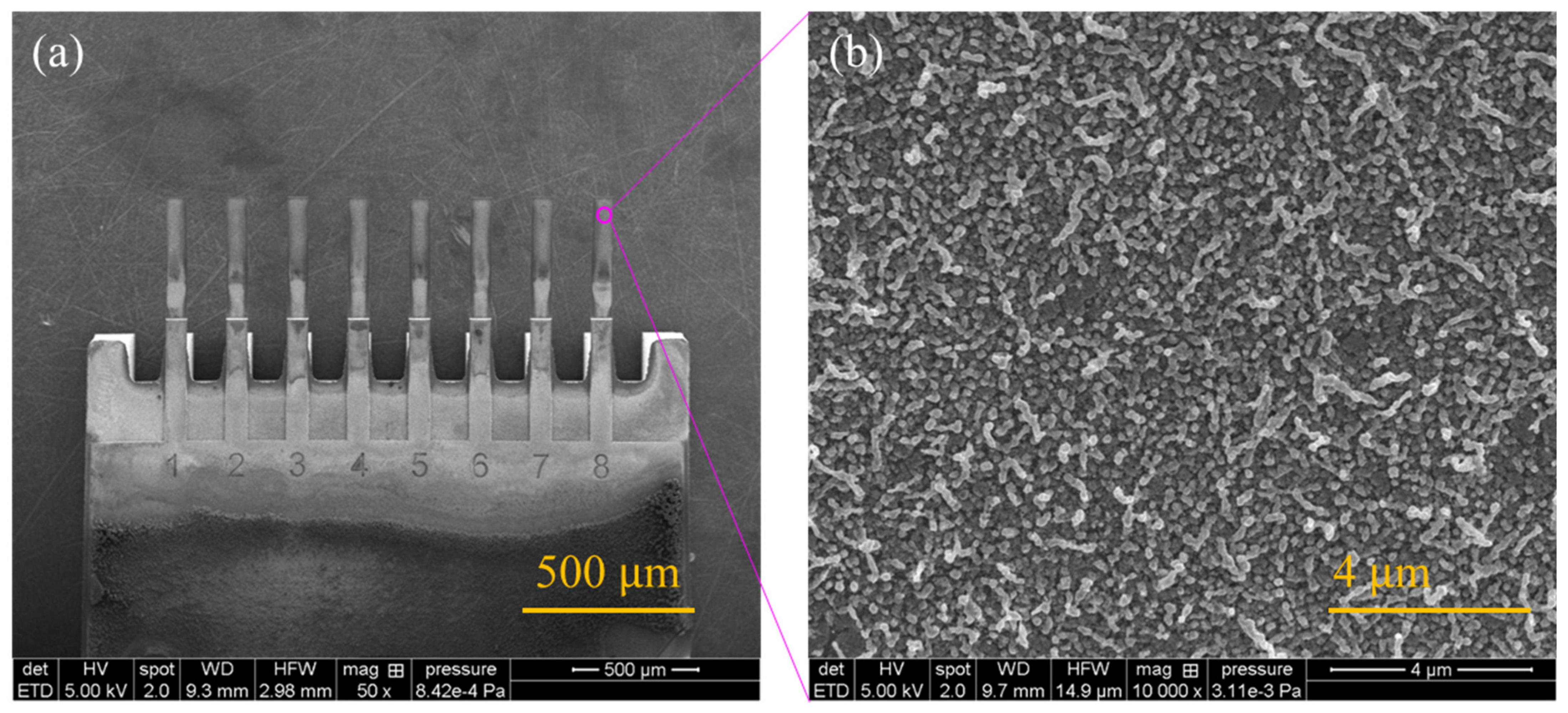 Chemosensors 13 00008 g008