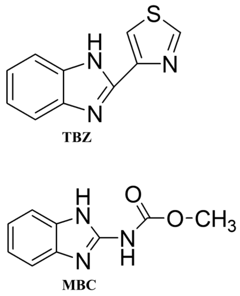Chemosensors 13 00013 g001