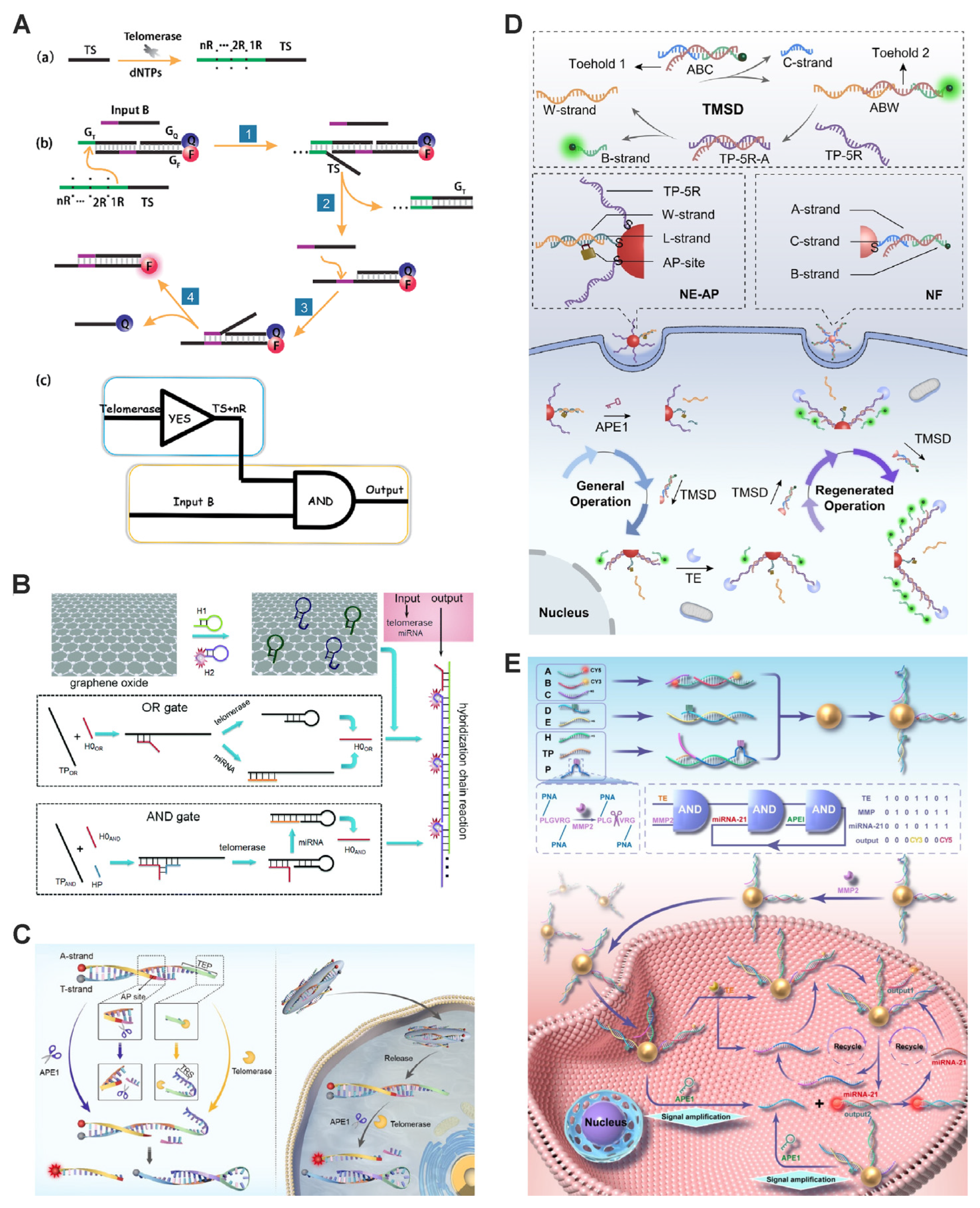 Chemosensors 13 00017 g003