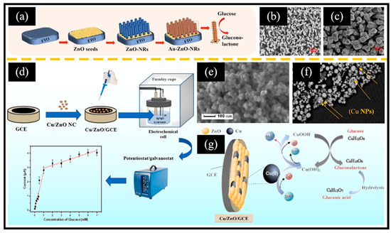 Non-Enzymatic Electrochemical Glucose Sensors Based on Metal