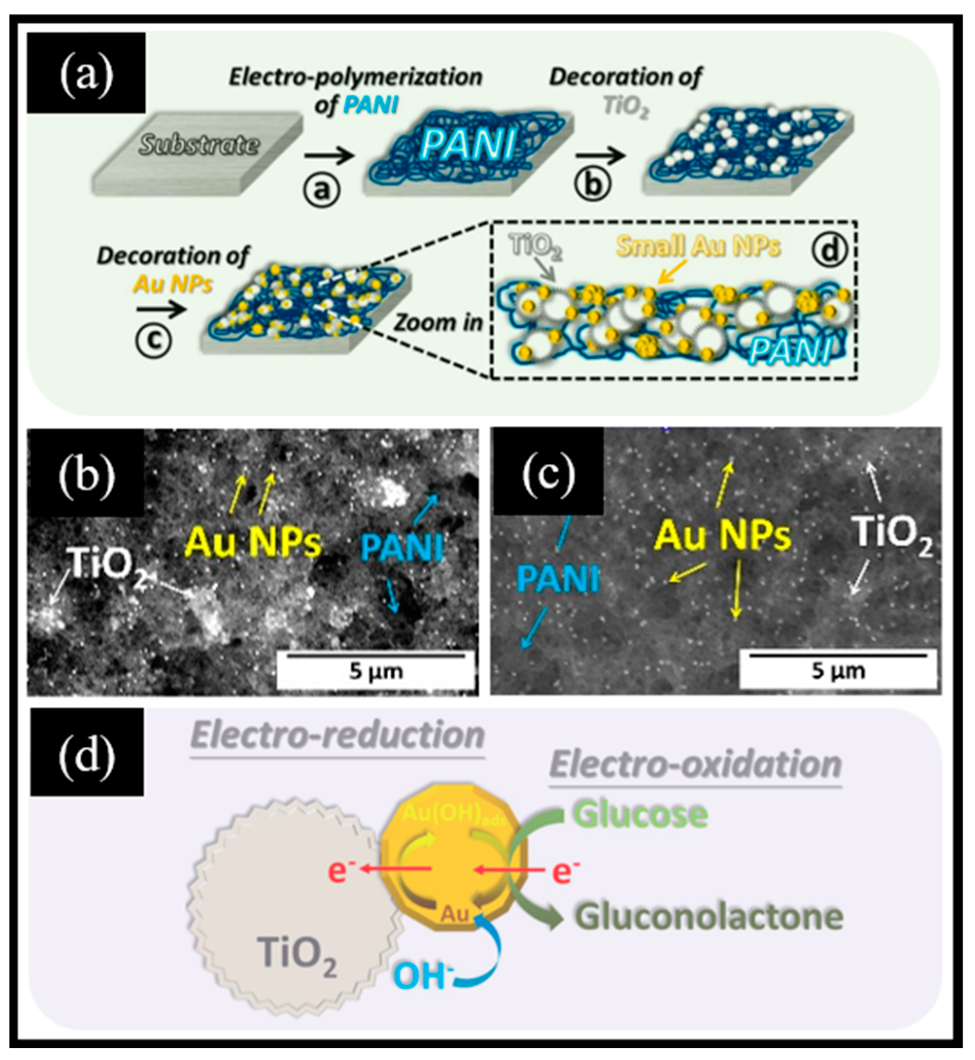 Chemosensors 13 00019 g005