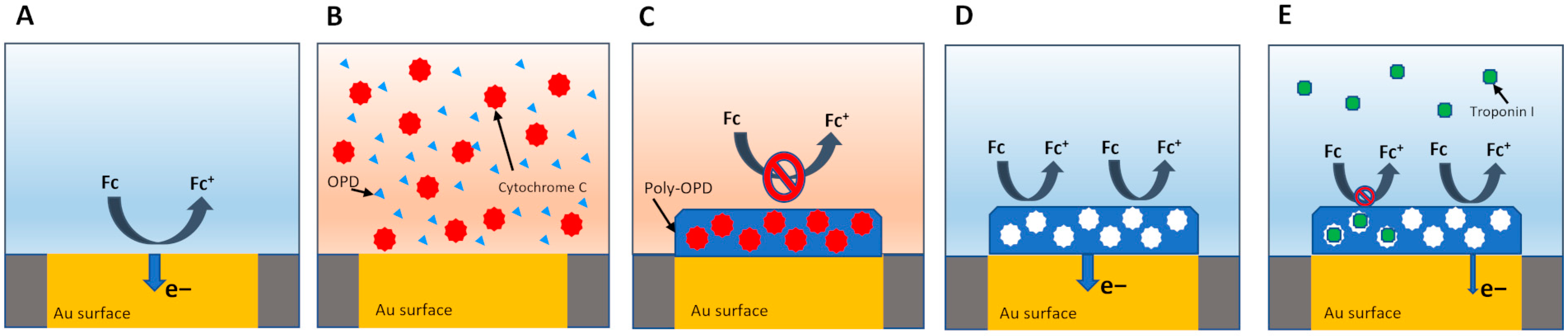 Chemosensors 13 00026 sch001