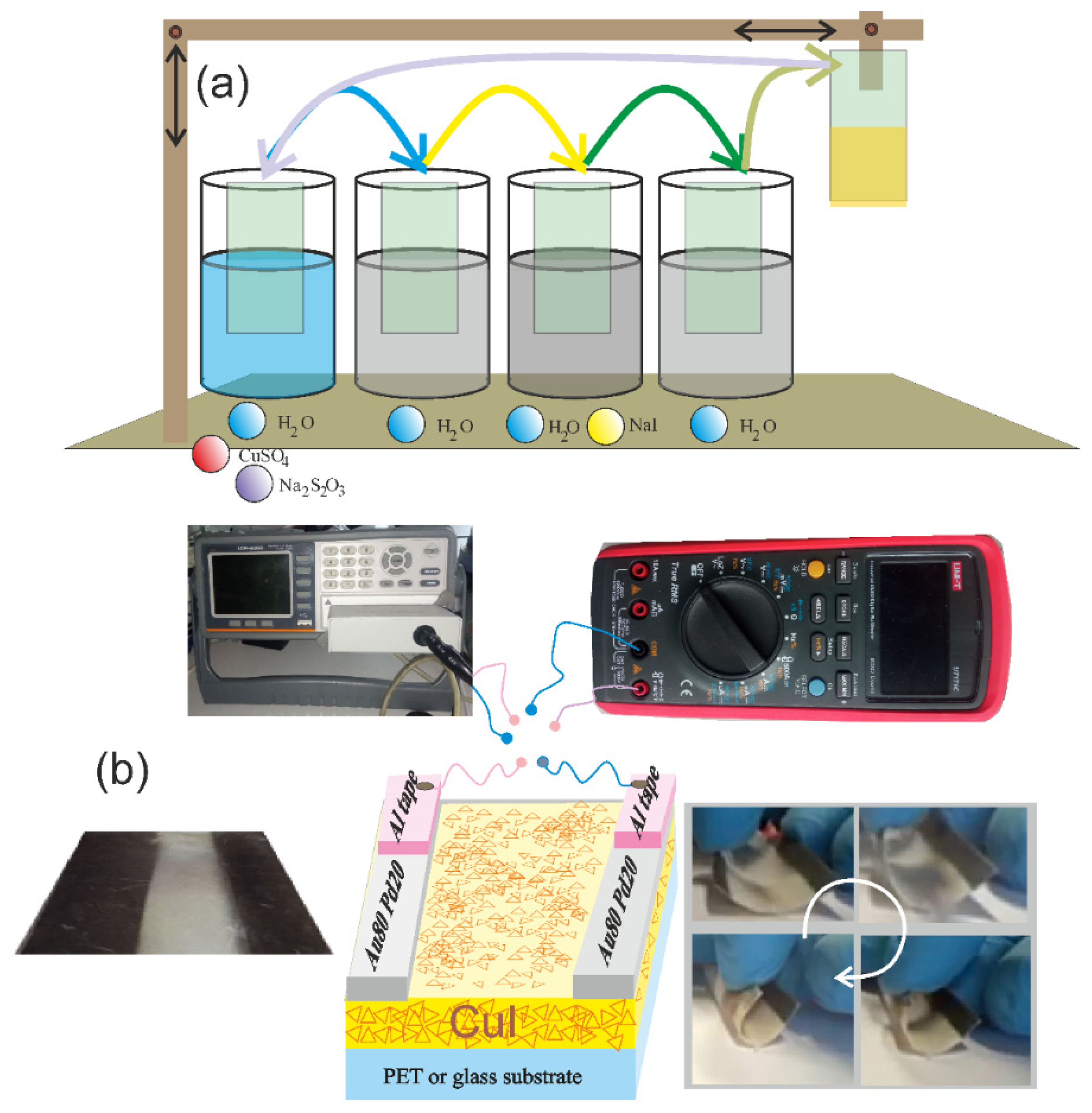 Chemosensors 13 00029 g001