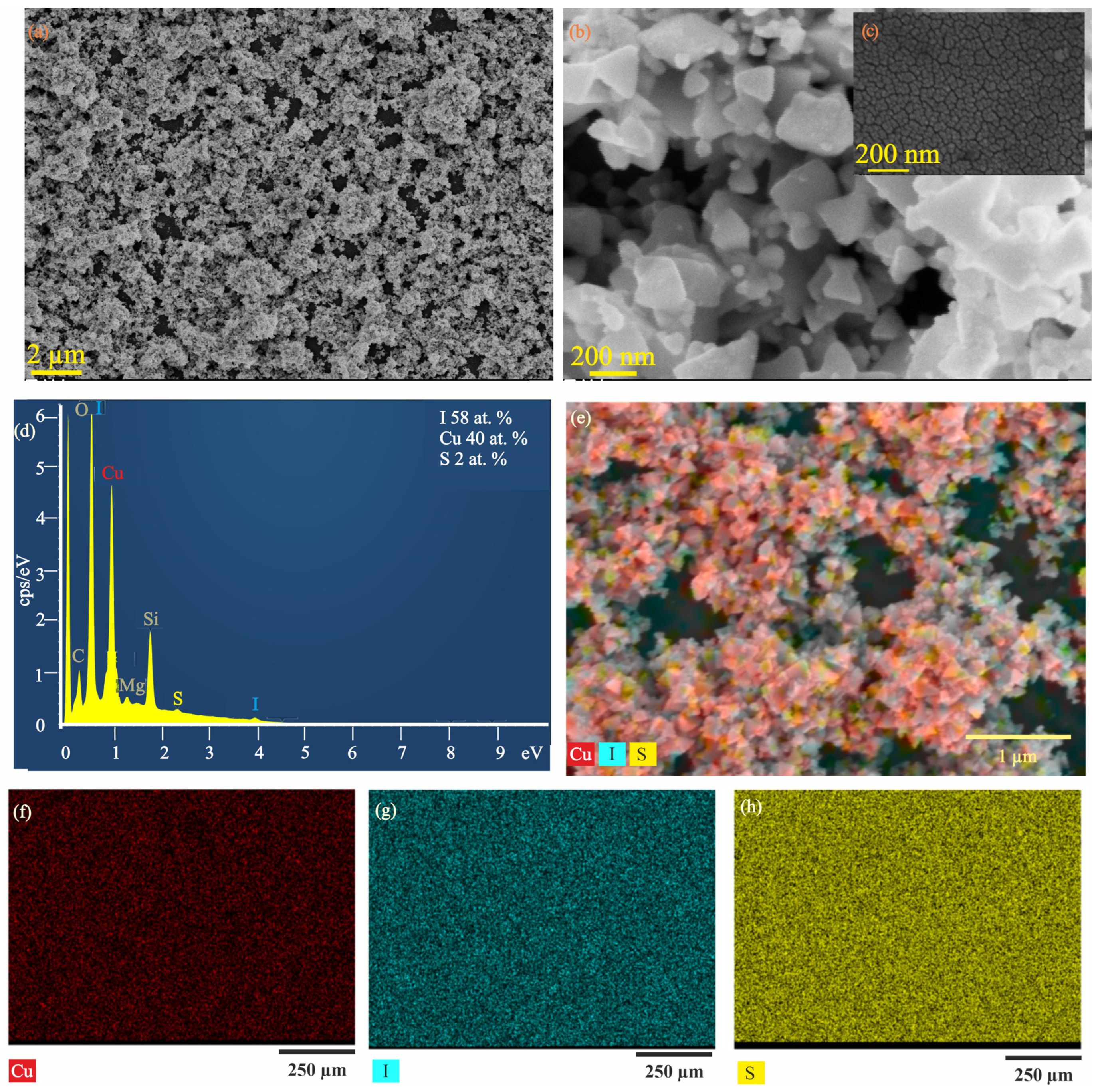 Chemosensors 13 00029 g002