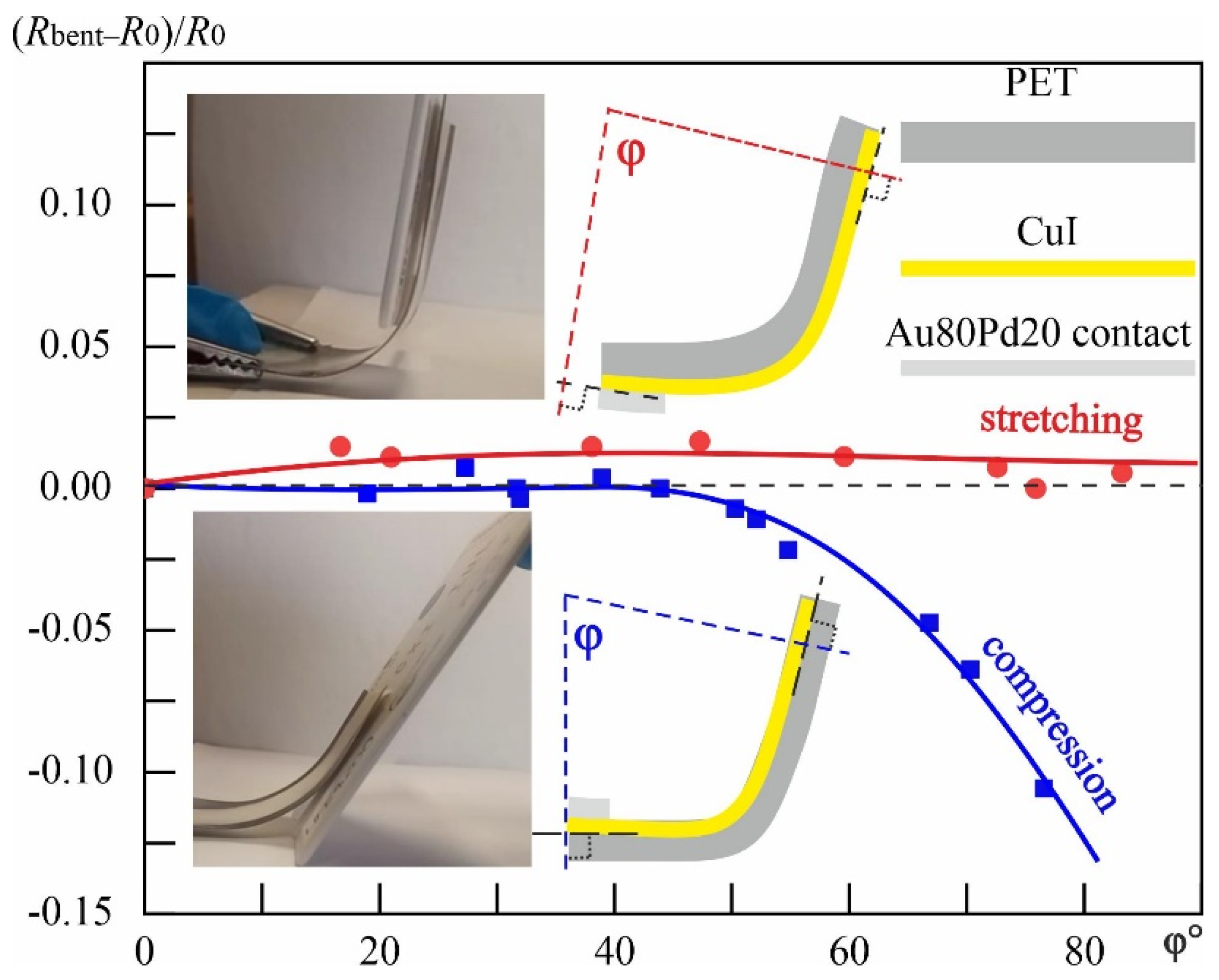 Chemosensors 13 00029 g010