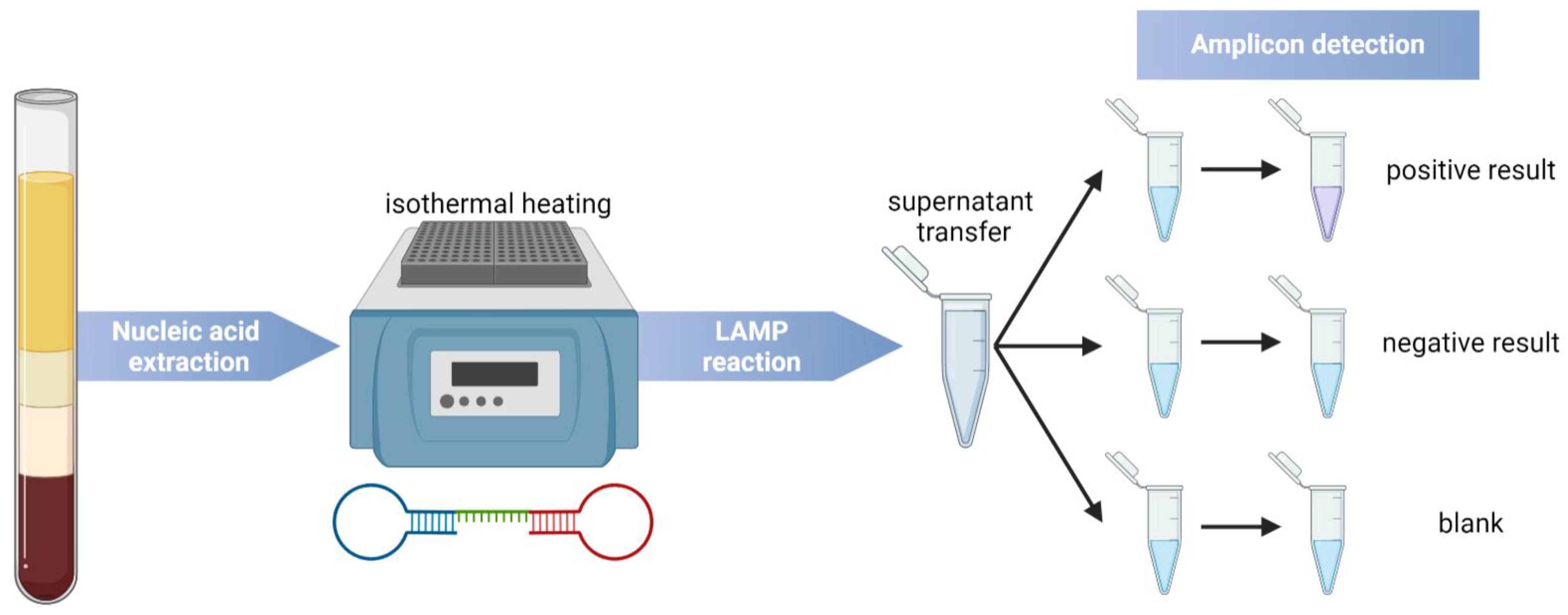Chemosensors 13 00031 g004 Chemosensors 13 00031 g004