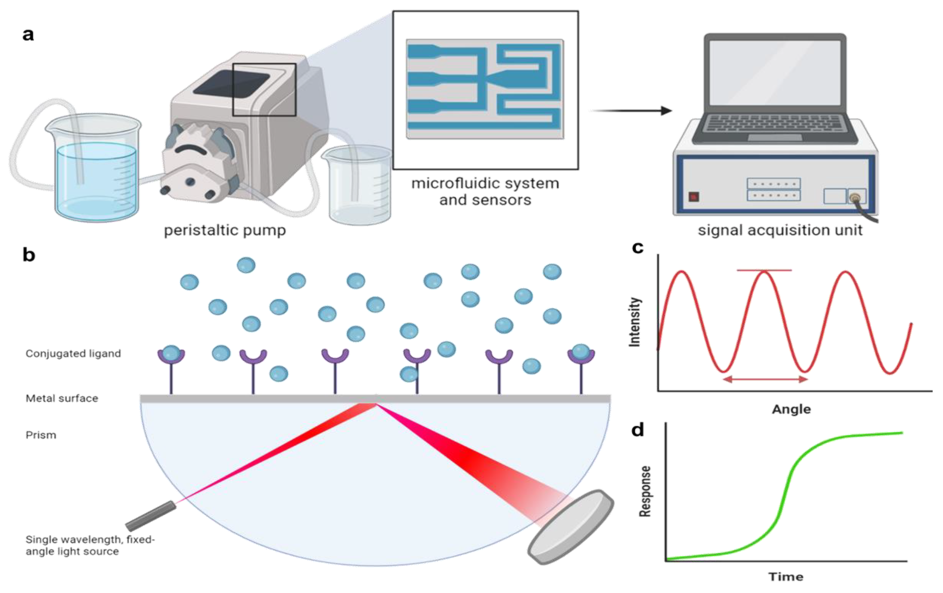 Chemosensors 13 00031 g005 Chemosensors 13 00031 g005