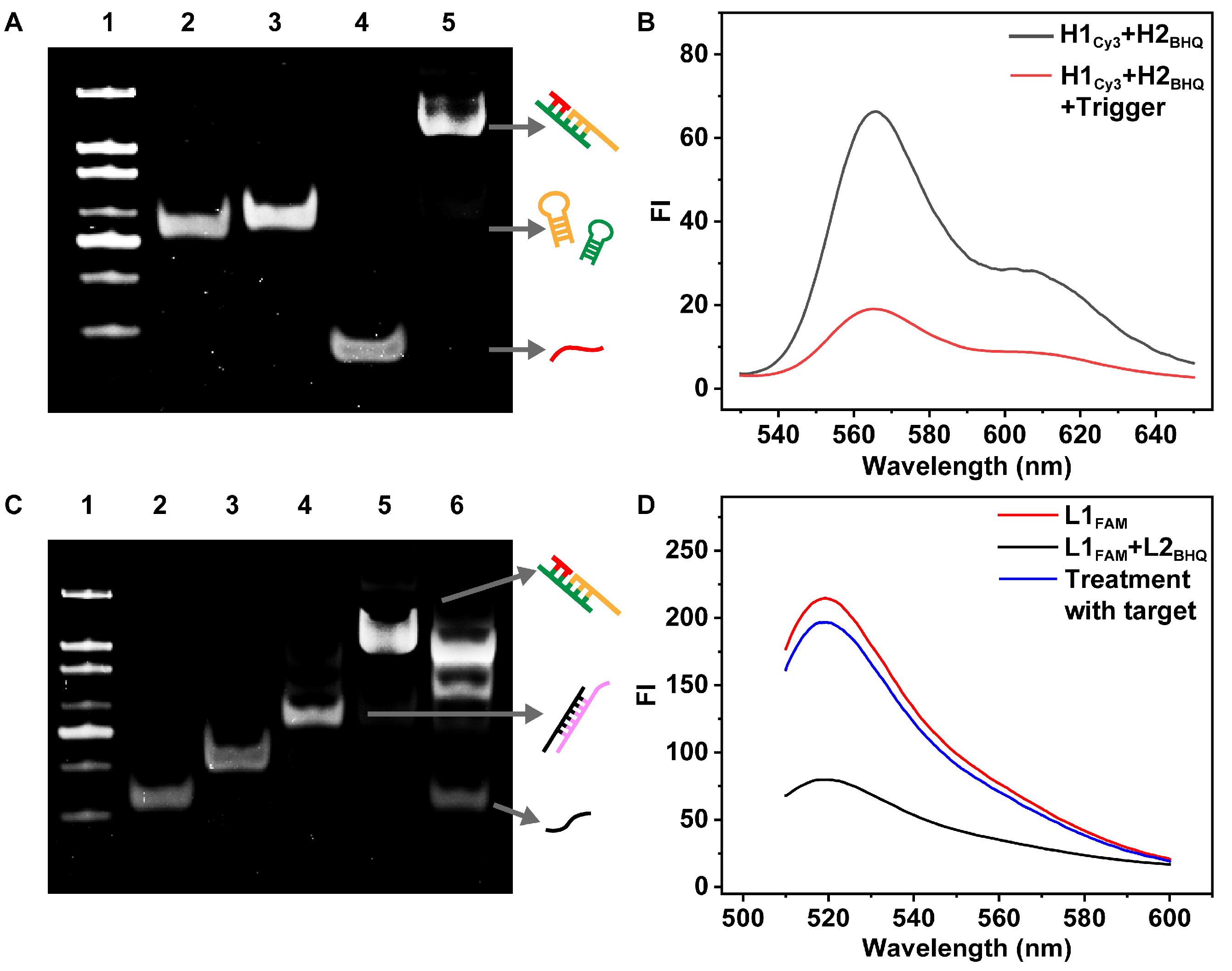 Chemosensors 13 00032 g001
