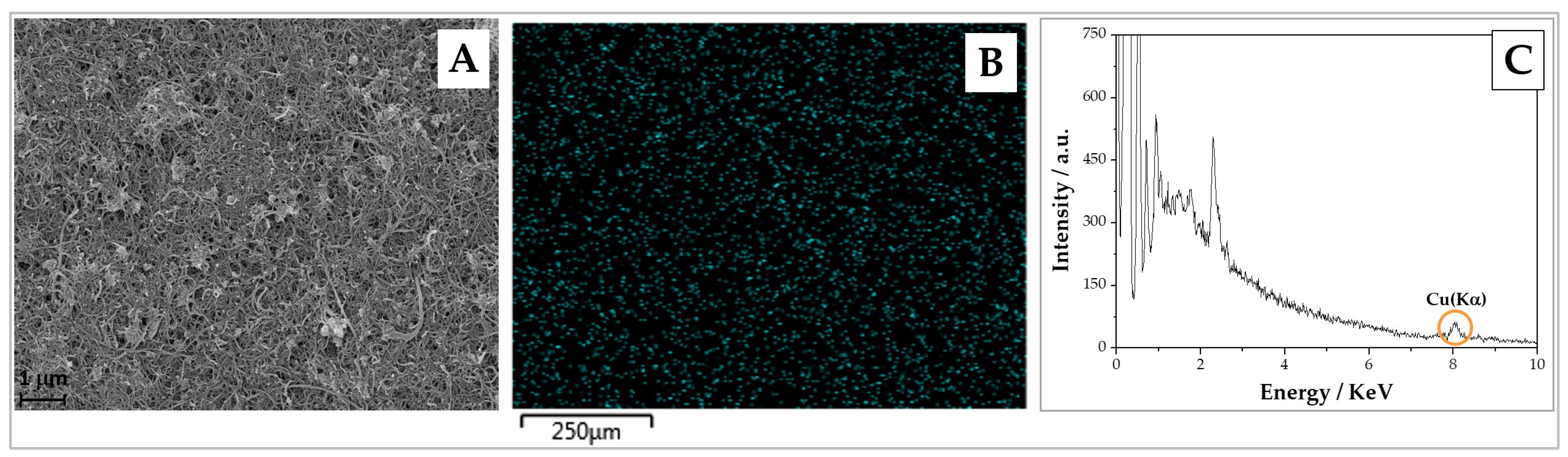 Chemosensors 13 00035 g003