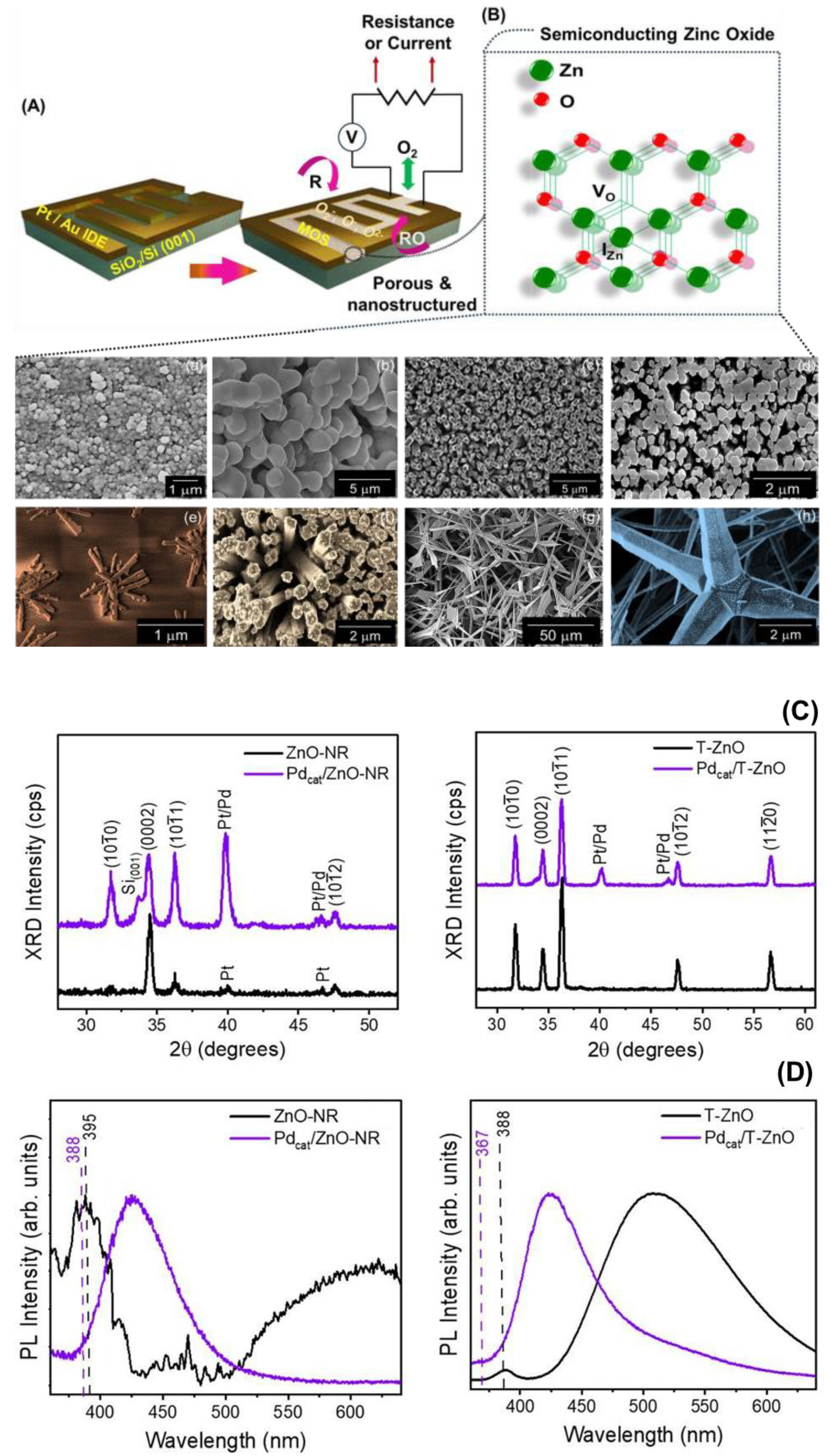 Chemosensors 13 00038 g002