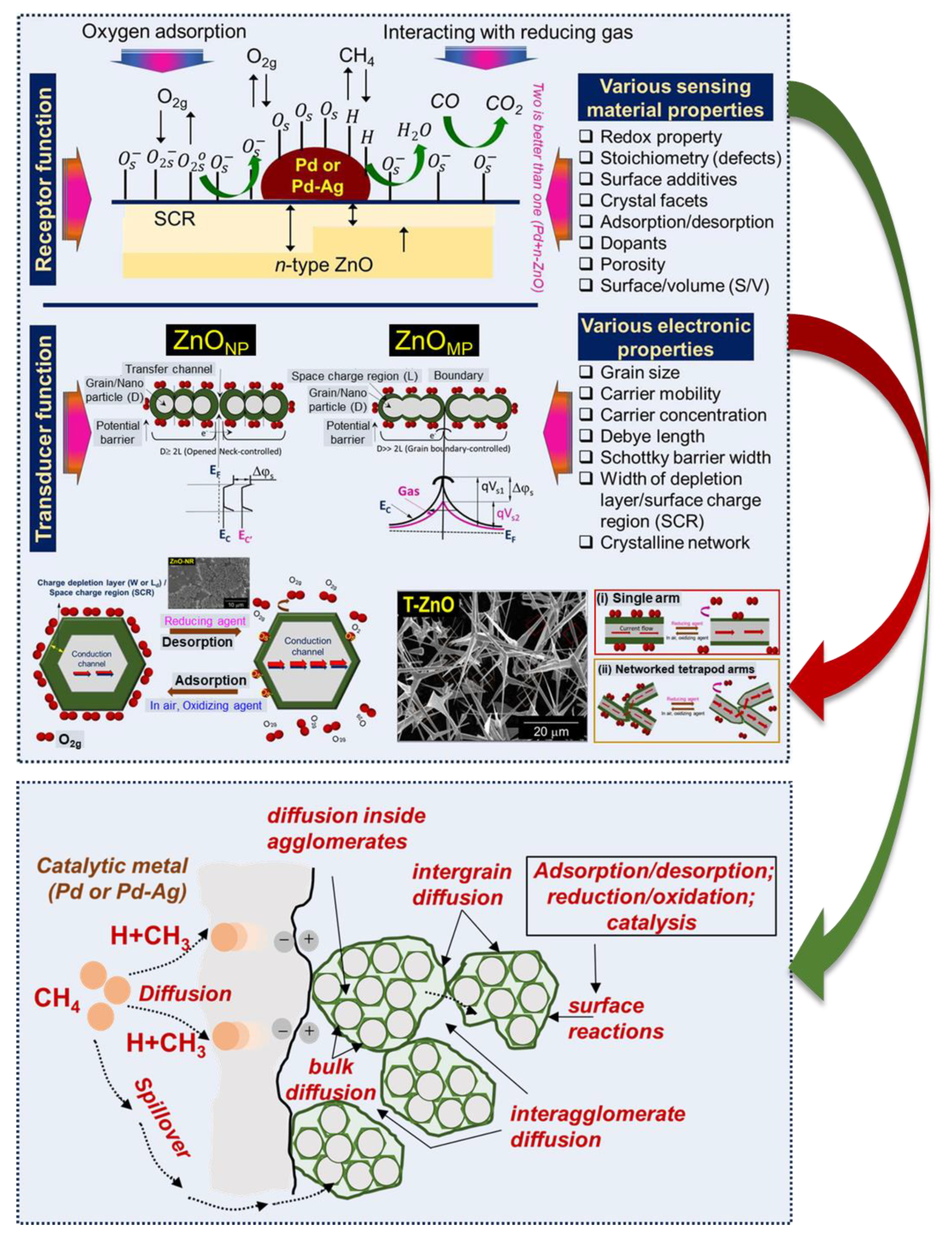 Chemosensors 13 00038 g005